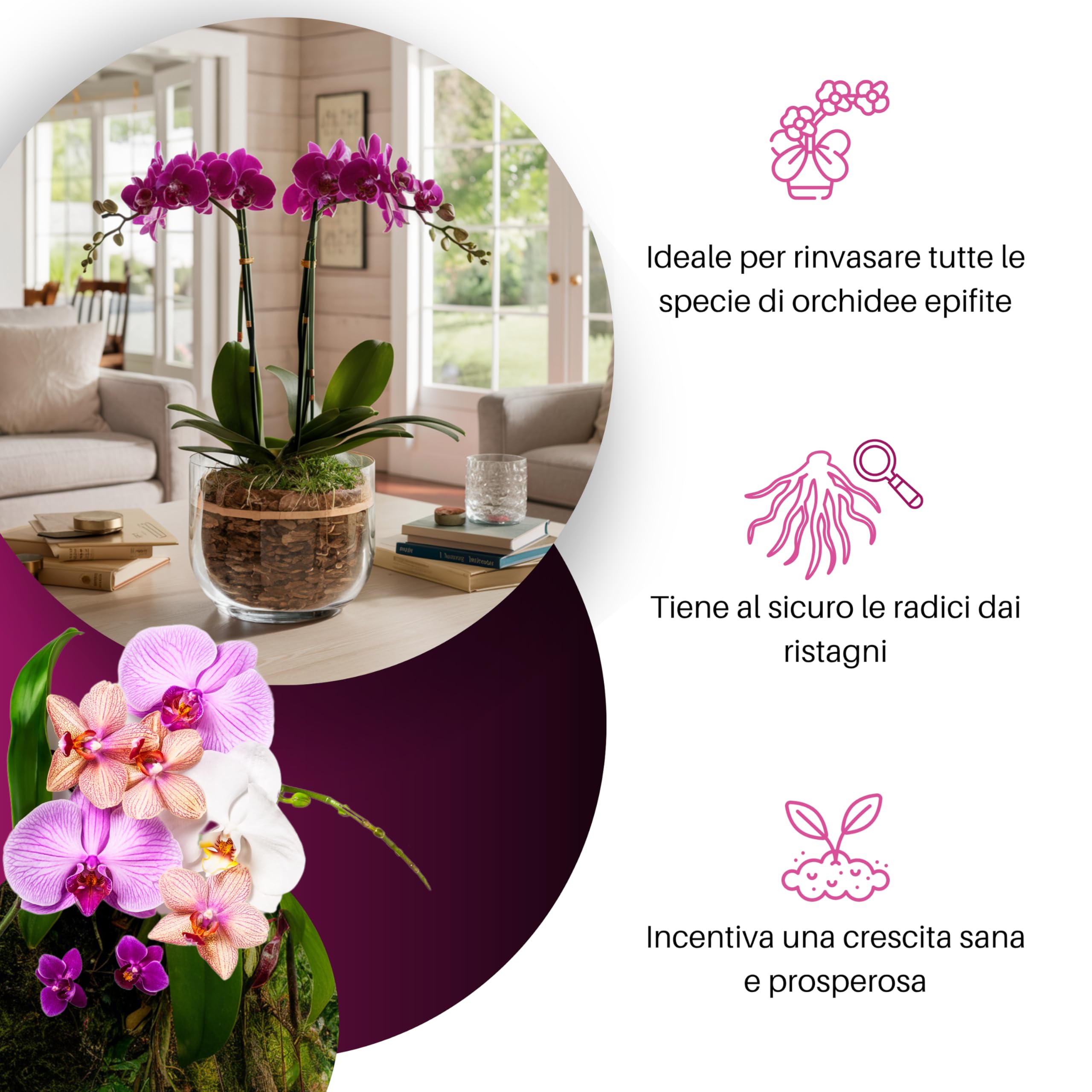 GebEarth® Terriccio per Orchidee Substrato 1L Professionale