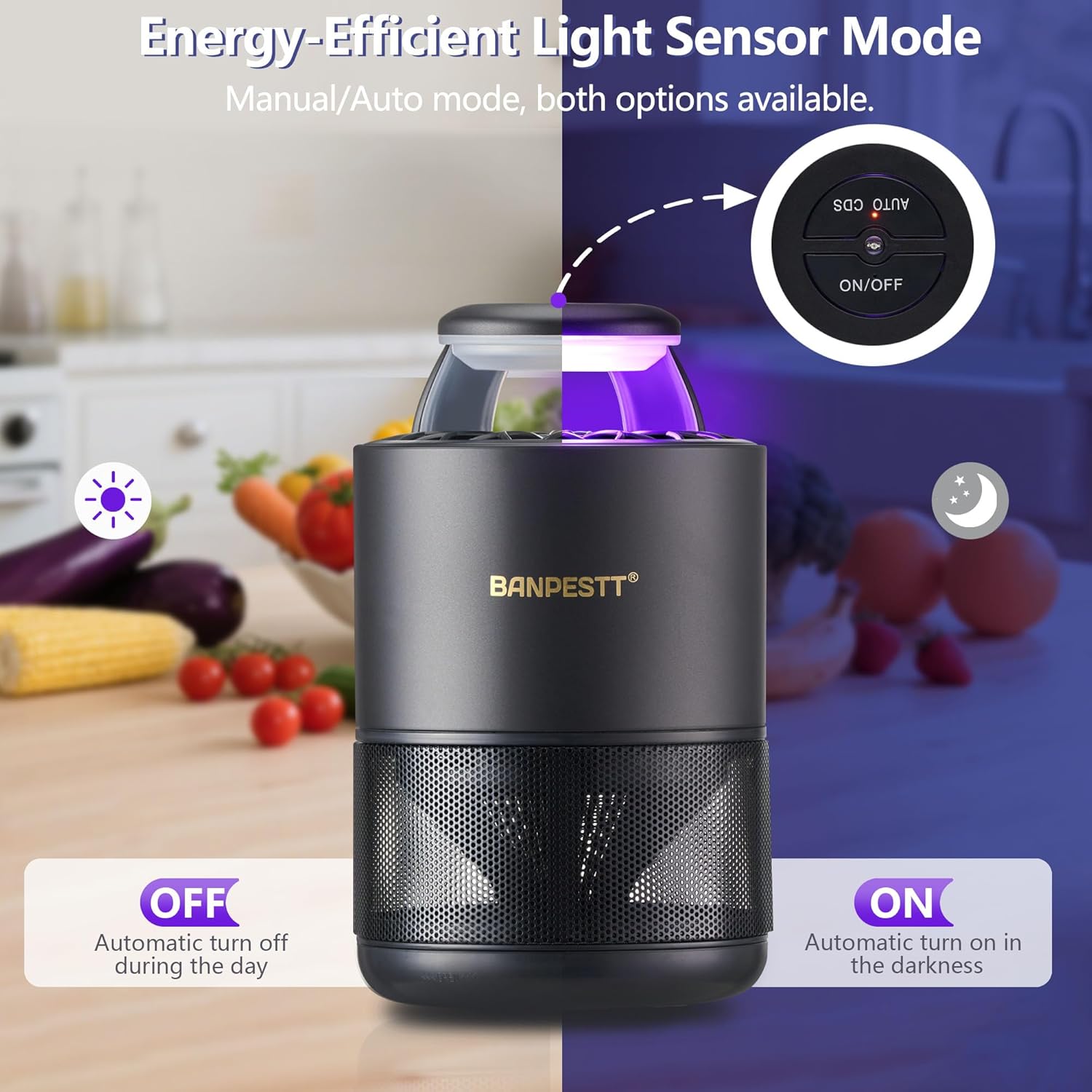 BANPESTT Automatic Insect Trap: Dusk-to-Dawn Sensor & Powerful Suction Quiet, Non-Zapper for Fruit Flies, Gnats, Mosquitoes | Includes 6 Glue Boards & UV Light (Black)