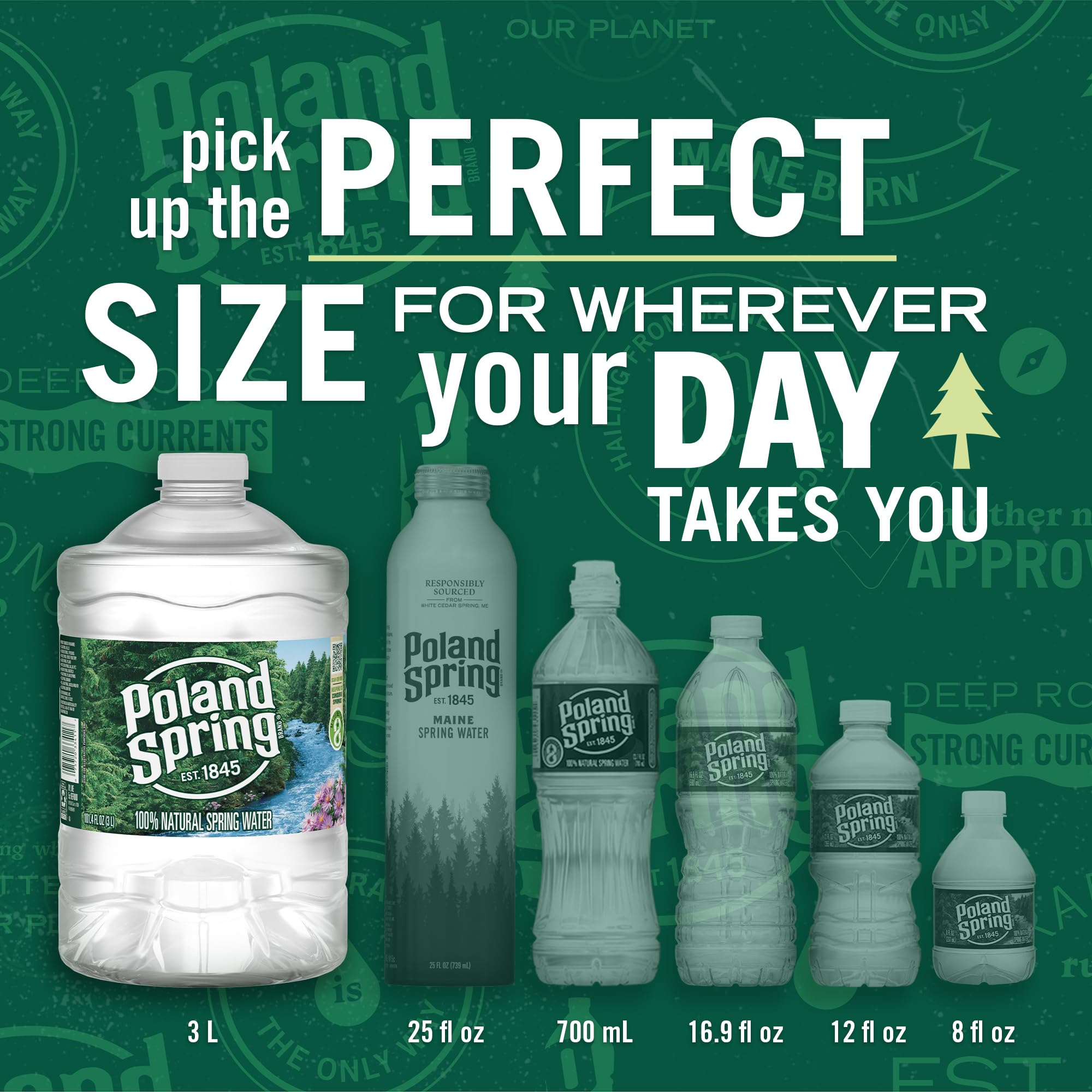 Poland Spring Maine Spring Water Bottles, 3L Jug – Still Bottled Water with Naturally Occurring Minerals for Taste