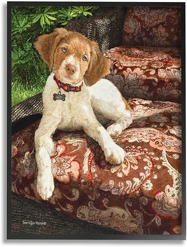 Stupell Industries Still Life Sueellen Ross - Silla de cachemira floral sentado con diseño de perro de campo, arte de pared enmarcado negro, 11 x 14