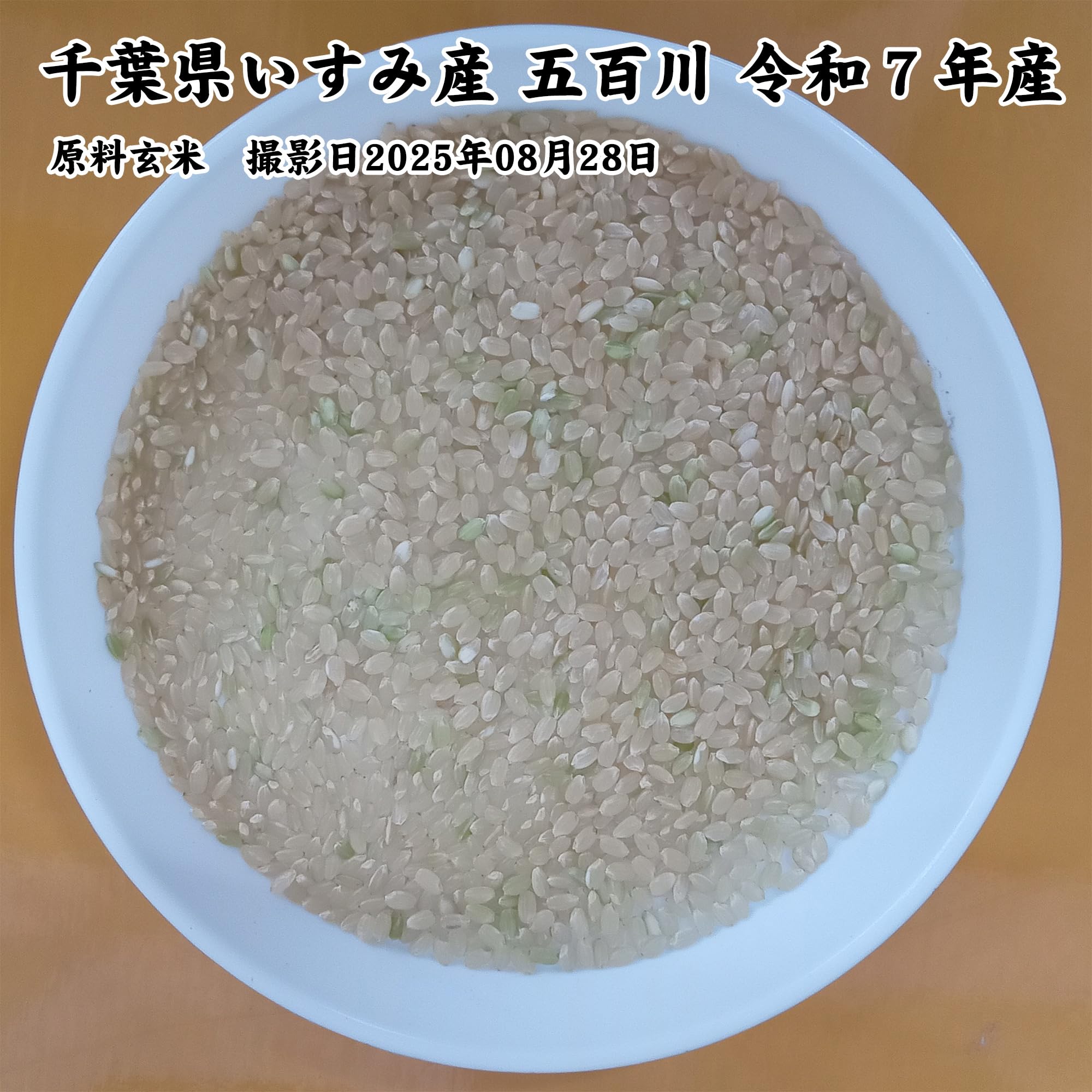 Amazon.co.jp: 千葉県いすみ市産 五百川 令和7年産 白米 5kg : 食品