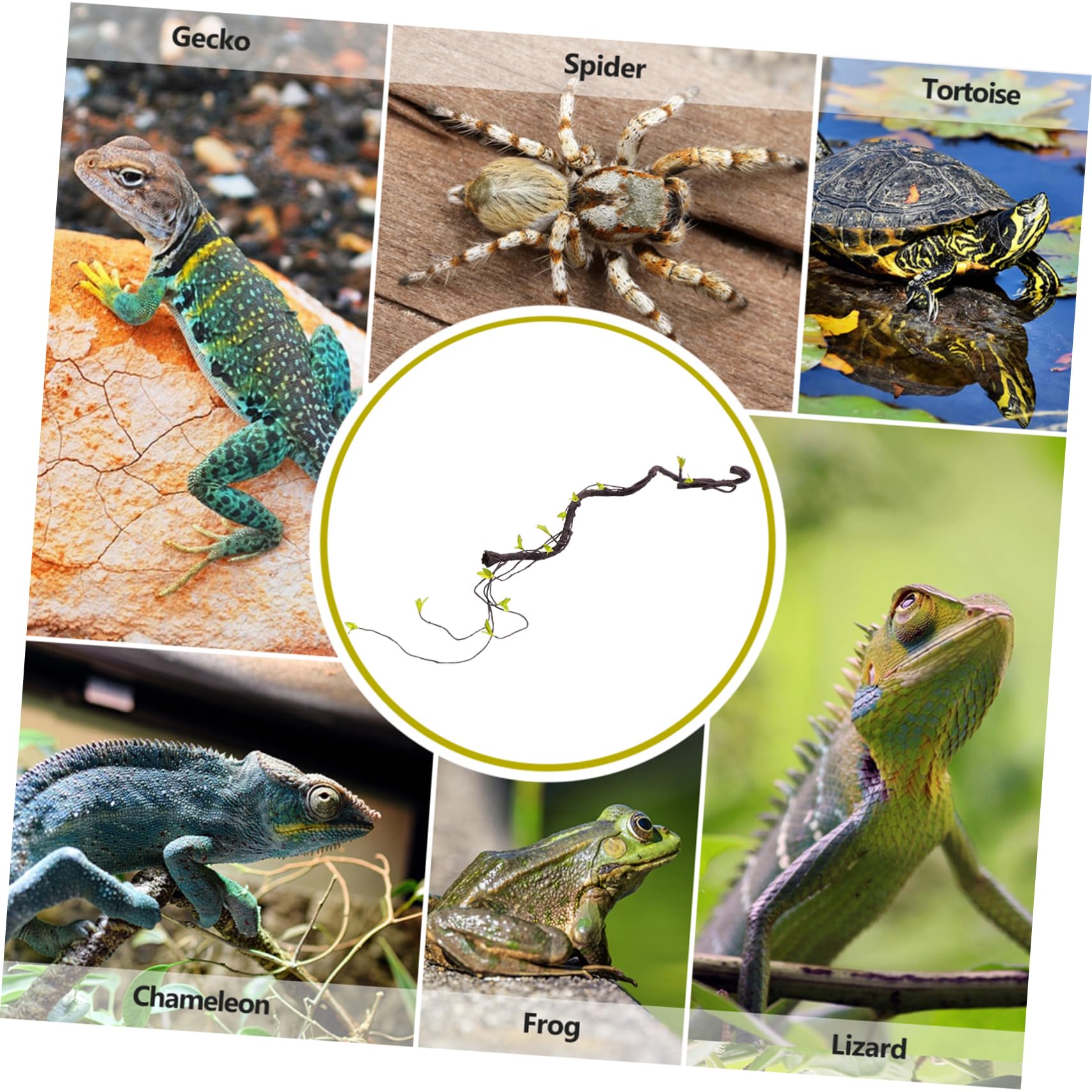 Housoutil 2stücke Künstliche Rattan-kletterpflanze Für Terrarien Flexibel Und Wiederverwendbar Für Reptilien Lange Simulation Von Tropischen Pflanzen Stressreduzierende Dekoration Für