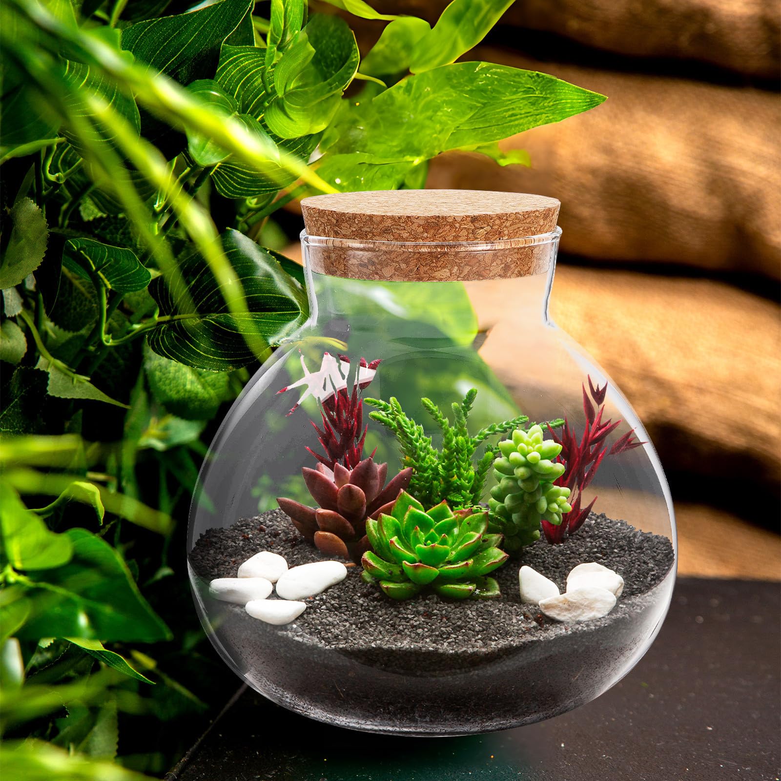 Toddmomy Pflanzen Glasterrarium aus Glas mit Korkverschluss Rundes Öko Flasche Terrarium 15X16cm Luftdicht Elegant und Leicht zu Reinigen für Selbstgemacht Mikrolandschaften