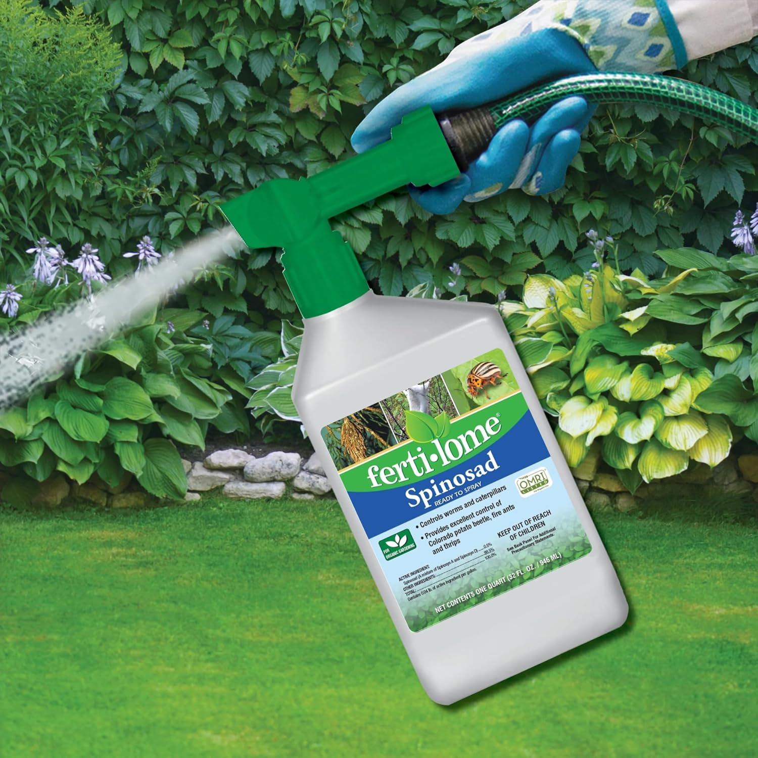 Fertilome (16064) Spinosad Insecticide Ready to Spray, Spinosad Bagworm, Tent Caterpiller & Chewing Insect Killer, OMRI Listed (32 oz.)