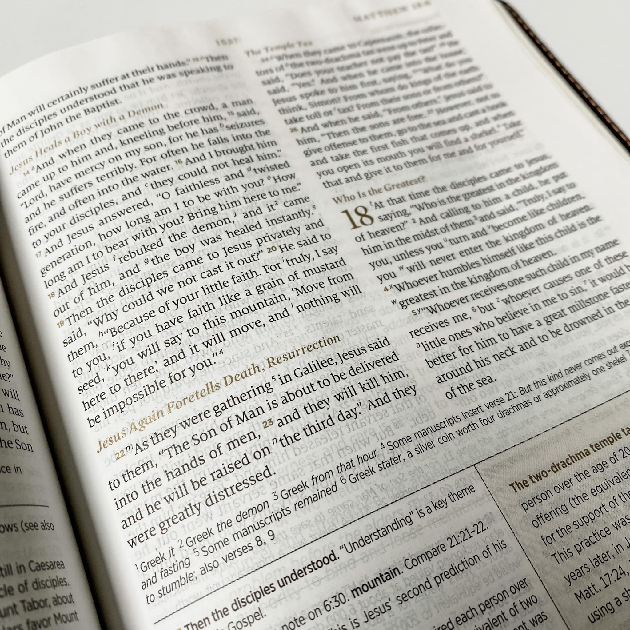 ESV Women's Study Bible, I Will Sing of the Goodness of God, Hand Lettered and Laser Engraved, Personalized Gift, Custom Name Engraving Available - Image 7