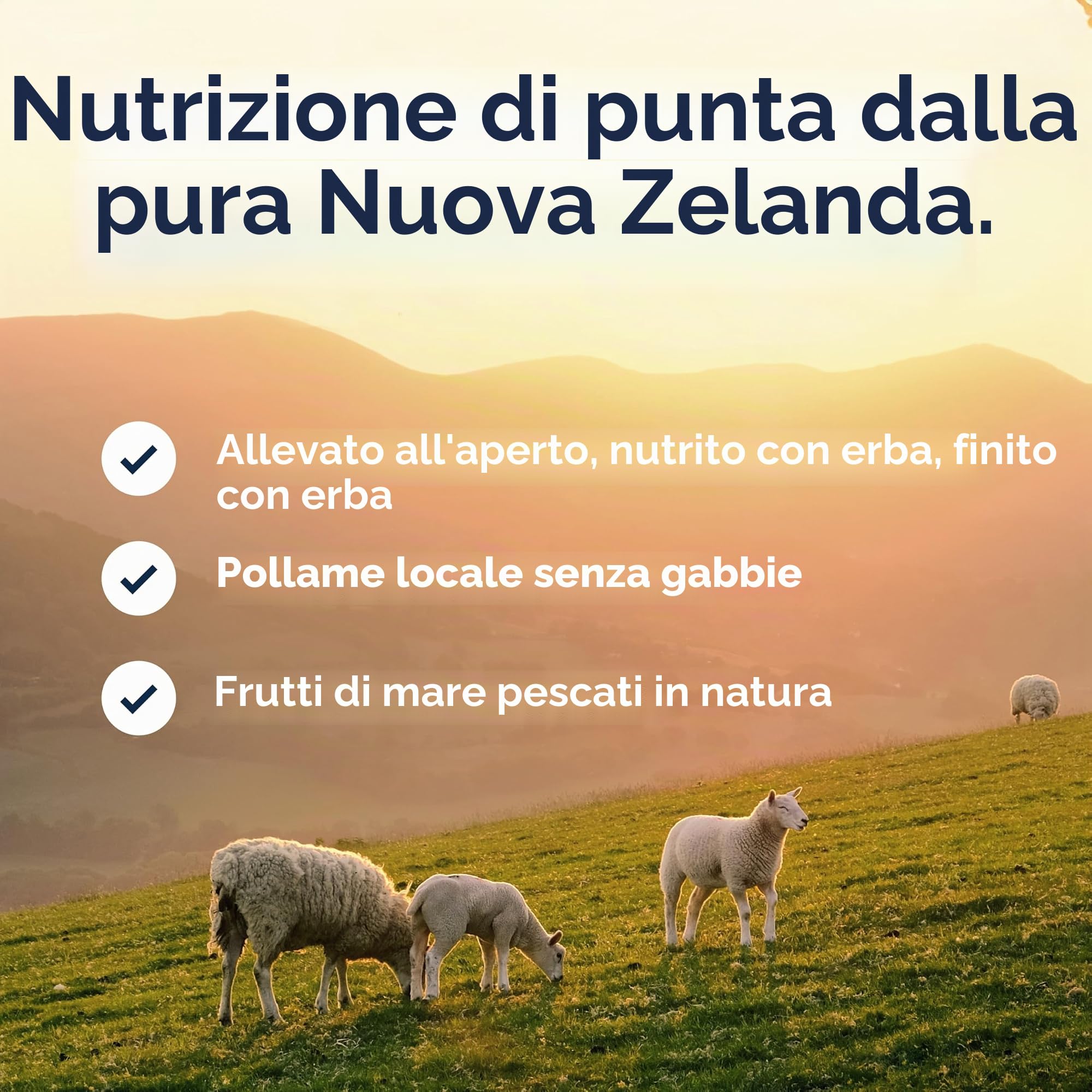 ZIWI Peak Steam & Pollo essiccato senza gabbie con sgombro intero, 2,2 kg, cibo secco per gatti naturale, ad alto contenuto proteico, alternativo crudo e senza cereali, cibo secco completo per gatti