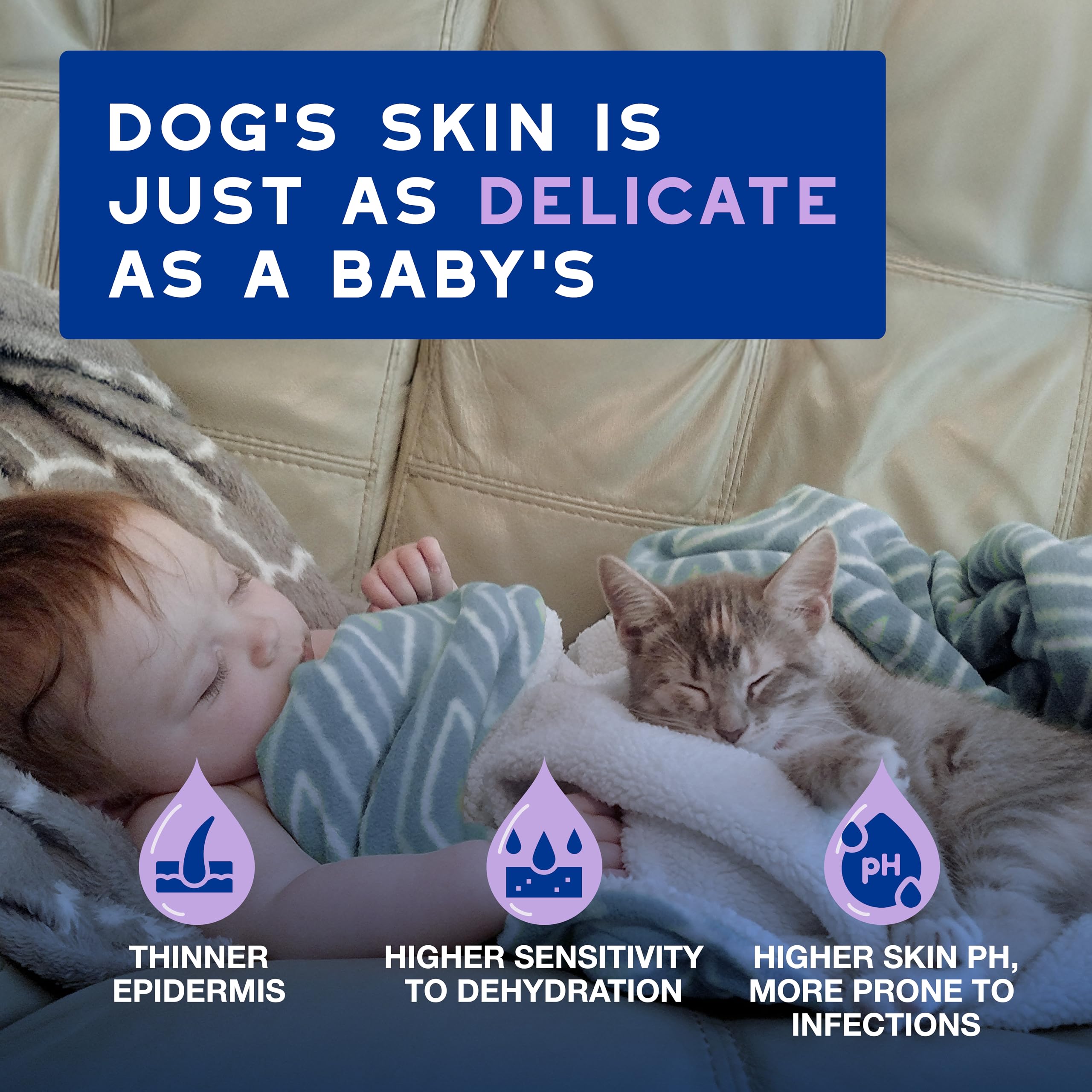 Douxo Spa Low-Stress Refresh Leave-on Mousse for Cats 150 ml, Safely Cleans and Refreshes the Fur, Leaves the Coat Soft - Image 3