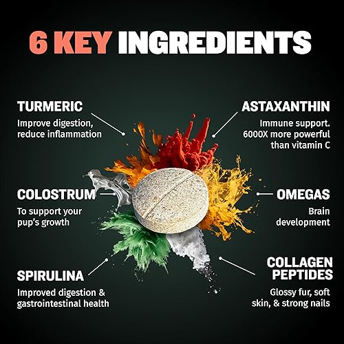 Miniatura 4 de Bully Max Tabletas para cachorros 2 en 1 para desarrollo y crecimiento  Suplemento masticable para cachorros y perros en crecimiento