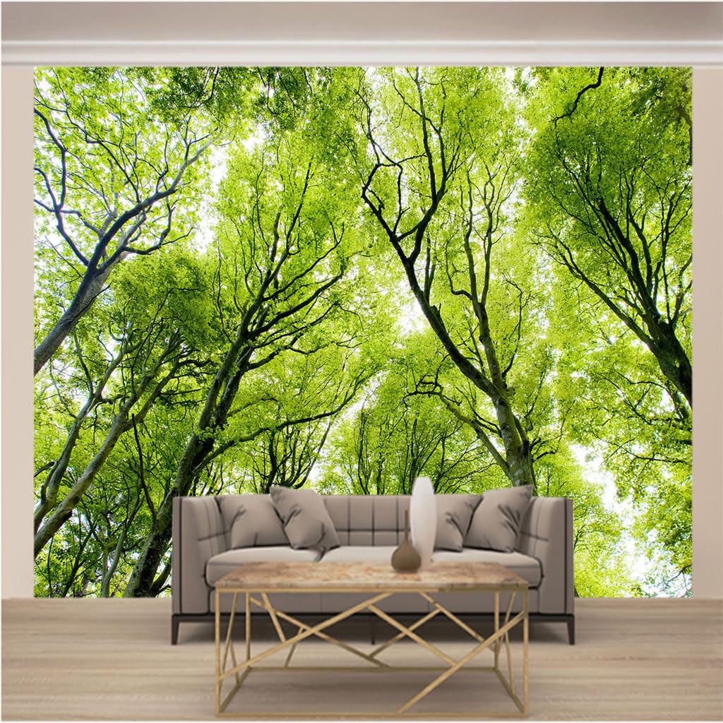 Tapisserie Photo Forêt Verte XXL | Créez un Salon Nature et Lumineux avec ce Trompe l'Oeil 3D