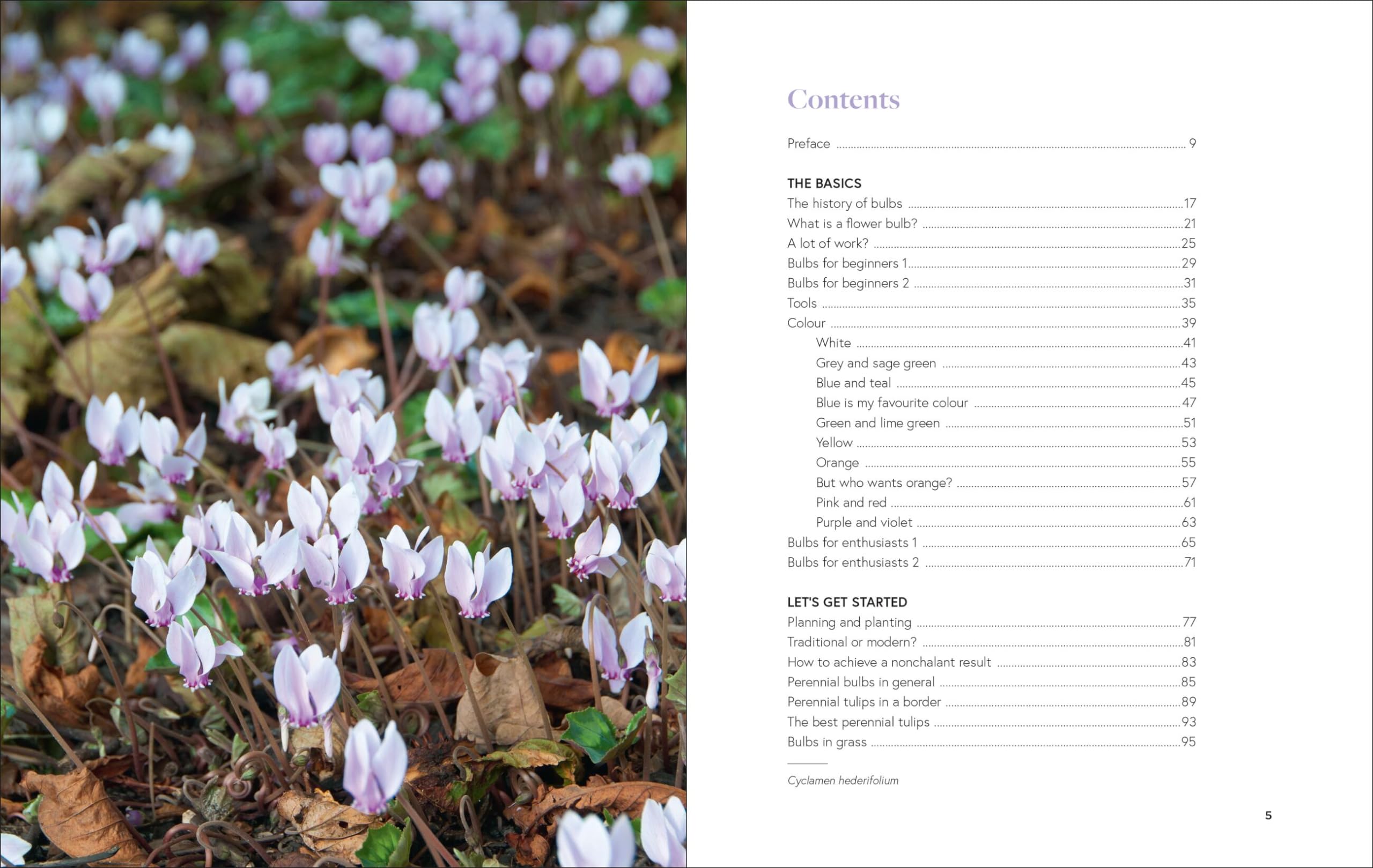 Growing Bulbs in the Natural Garden: Innovative Techniques for Combining Bulbs and Perennials in Every Season