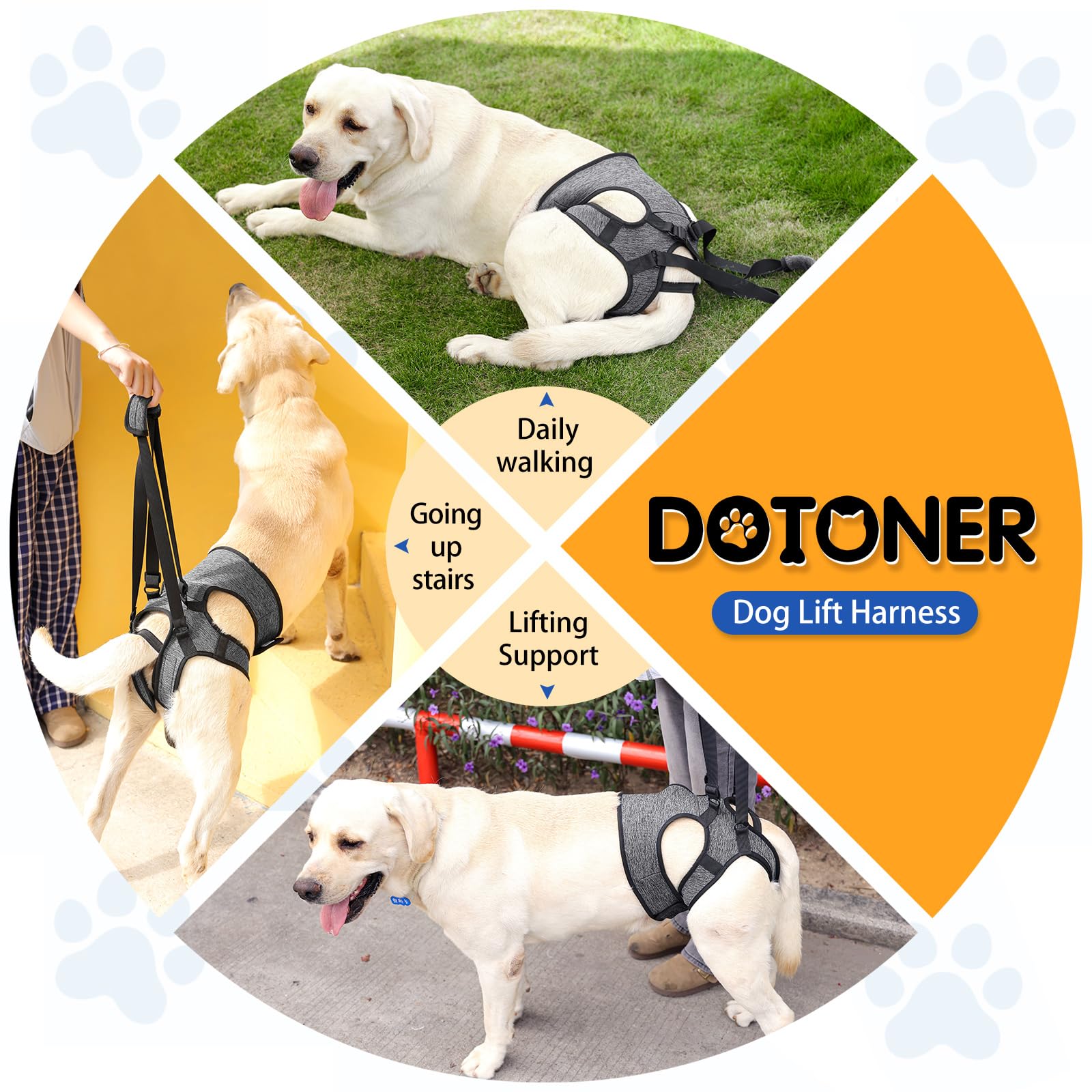 Dotoner Imbracatura per Cani, imbracatura cane zampe posteriori, Pettorina di Sollevamento per Taglie Piccola Media Grande, Assistenza alla Mobilità Anziani o Infortunati