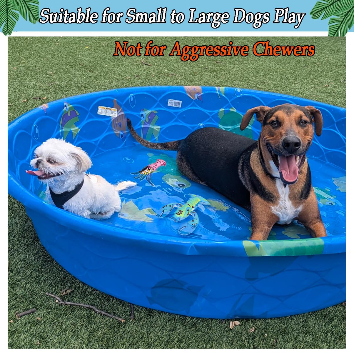 Quietschendes Wasser-Pool-Spielzeug für Hunde, interaktives Sommer-Essentials, schwimmendes Hundespielzeug für kleine Meidum-Hunde, Wasser-Strand-Apportieren