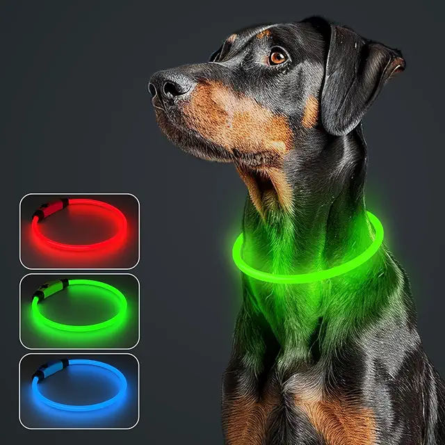 Collare Cane Luminoso Ricaricabile Impermeabile - 3 Modalità LED Regolabile per Cani e Gatti