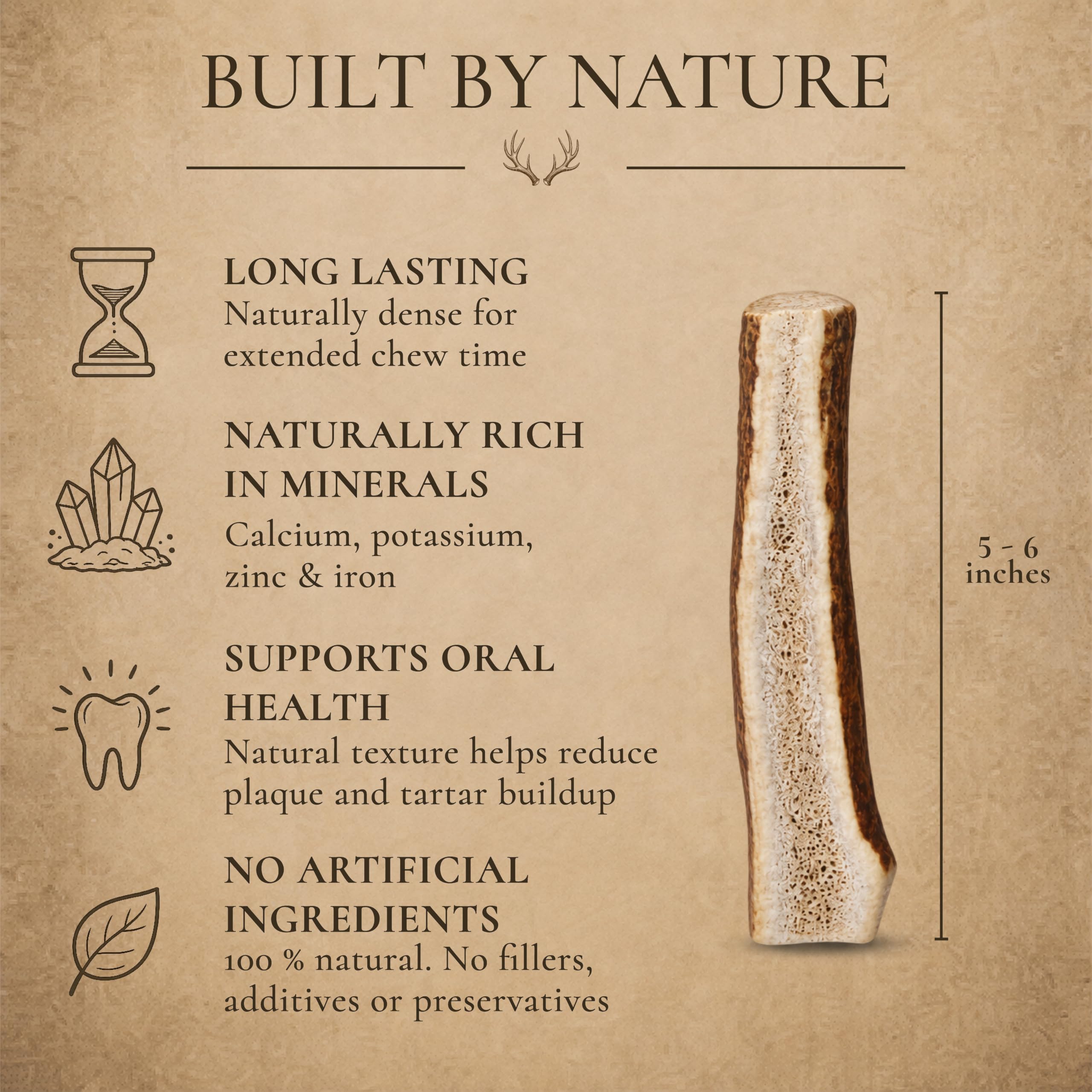 HUOXIG Whitetail Naturals Premium Split Elch Geweih für Hunde, 3er-Pack, klein, natürliches Geweih-Horn, 10,2 bis 12,7 cm lang, für kleine Aggressive Kauer