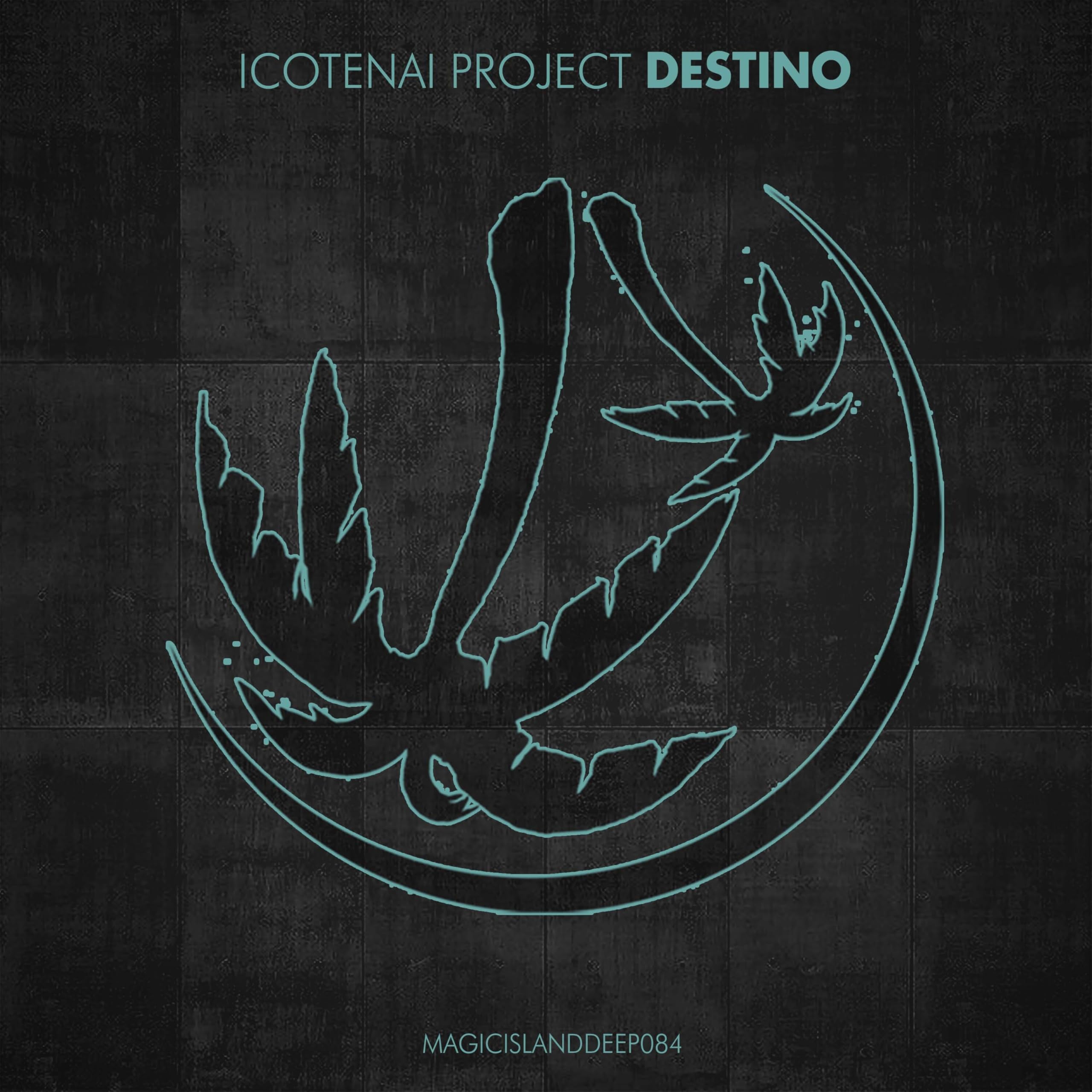 Icotenai Project