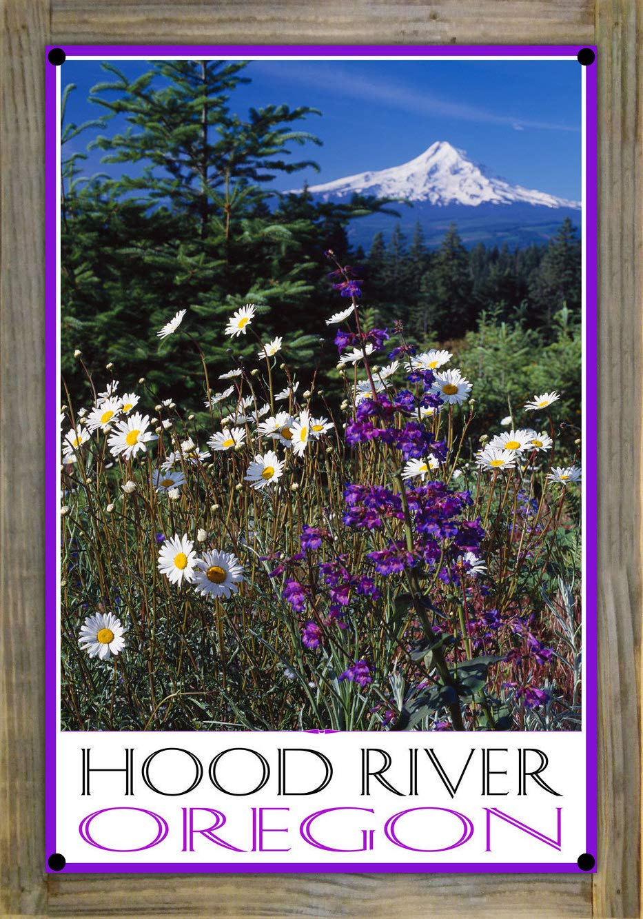 Northwest Art Mall Hood River Oregon Wildflowers Metal Print on Reclaimed Barn Wood from Photograph by Artist Ike Leahy 11.5" x 17.5"
