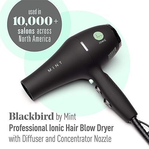 Miniatura 2 de Value Bundle - Crema suavizante hidratante ligera y de lujo y secador de pelo iónico Blackbird de MINT | Extremadamente silencioso y ligero con 1875