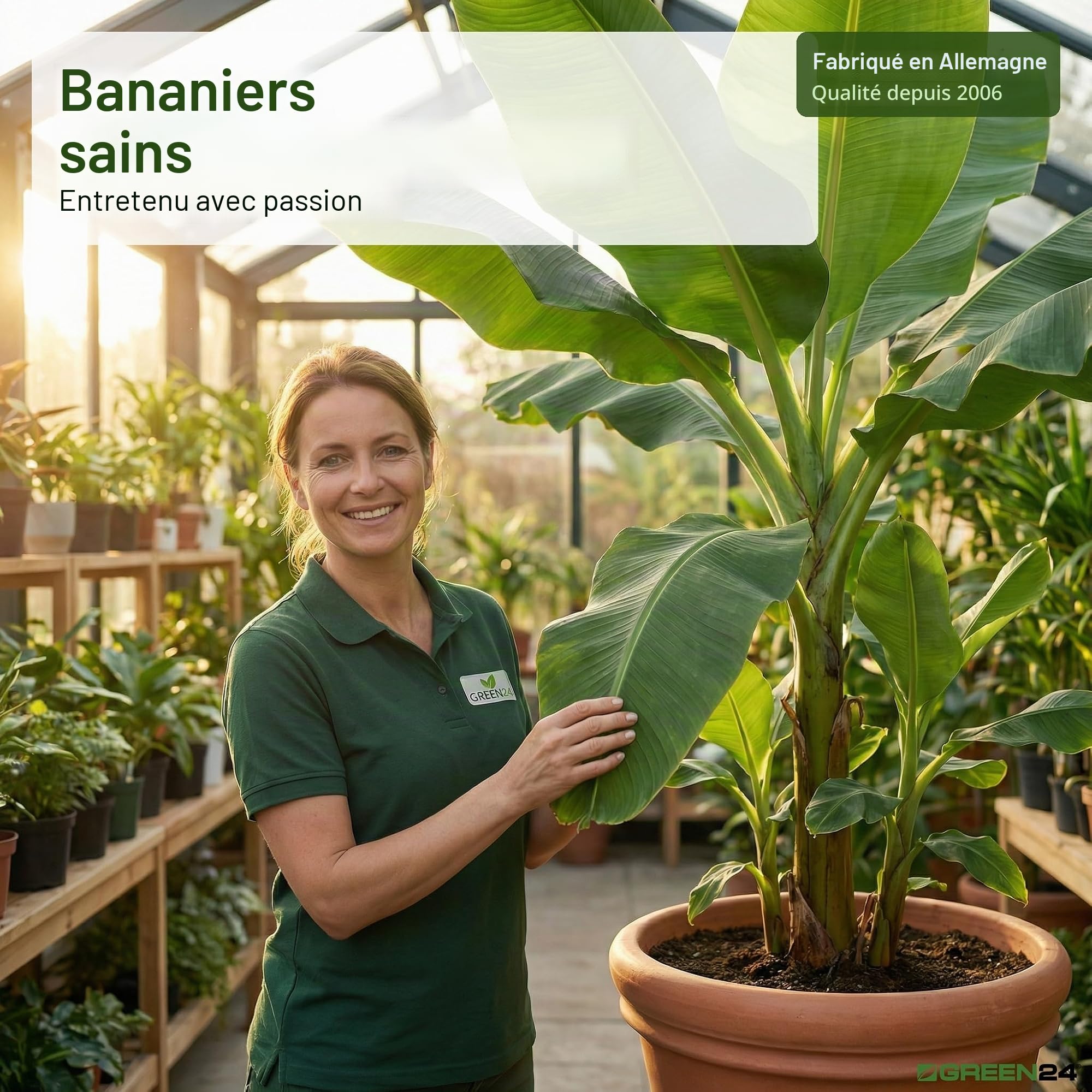 Green24 Engrais pour bananes Musa Haute technologie