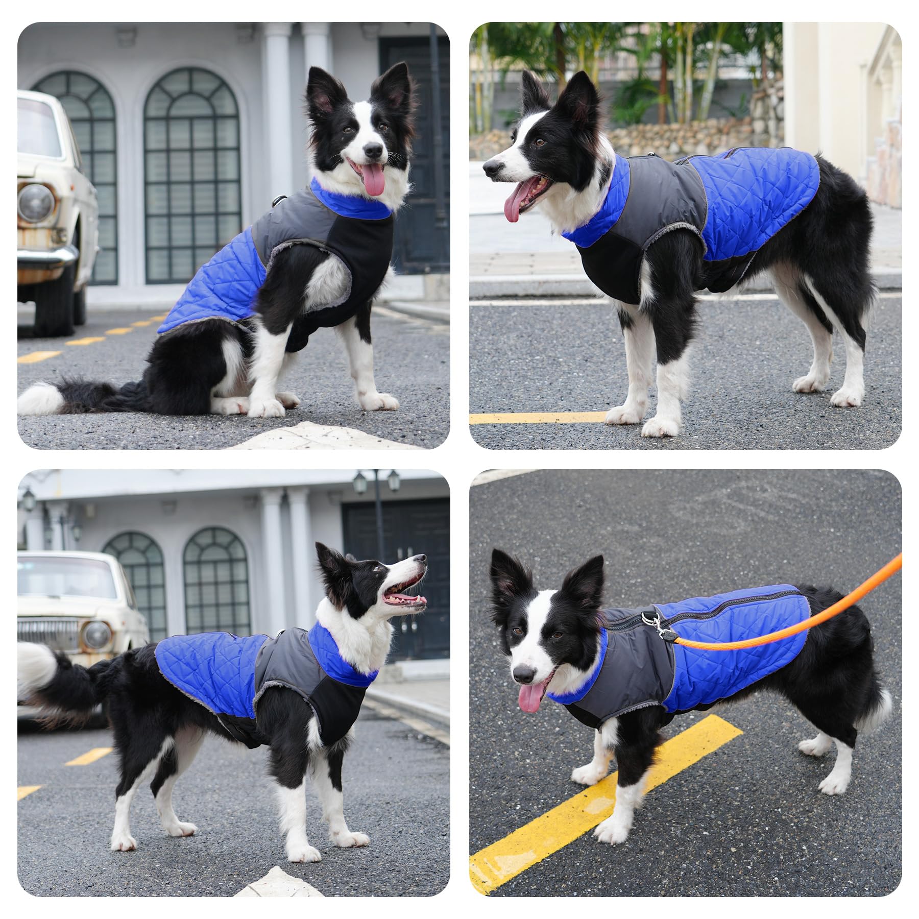 JoyDaog Abrigos de forro polar cálido para perros grandes, chaqueta impermeable con anillos en D para cachorros para el frío invierno, azul, XXXL