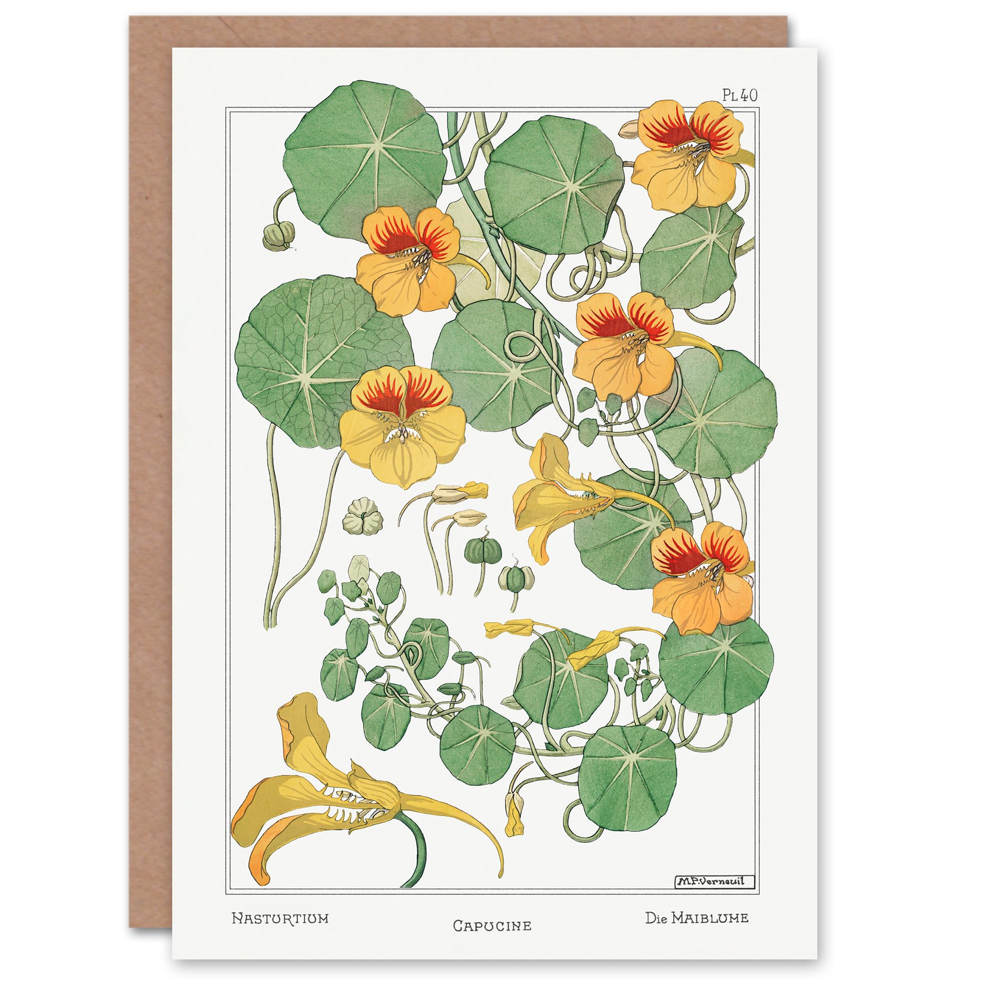 Artery8 Maurice Pillard Verneuil Art Card Nasturtium Flower