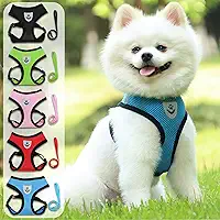 Conjunto de coleira e coleira ultrafina, respirável, sem puxar, colete refletivo para cães pequenos e médios - caminhada, corrida, acampamento - serve para maltês, chihuahua, poodle, shih tzu (azul