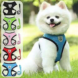 Conjunto de coleira e coleira ultrafina, respirável, sem puxar, colete refletivo para cães pequenos e médios - caminhada, corrida, acampamento - serve para maltês, chihuahua, poodle, shih tzu (azul