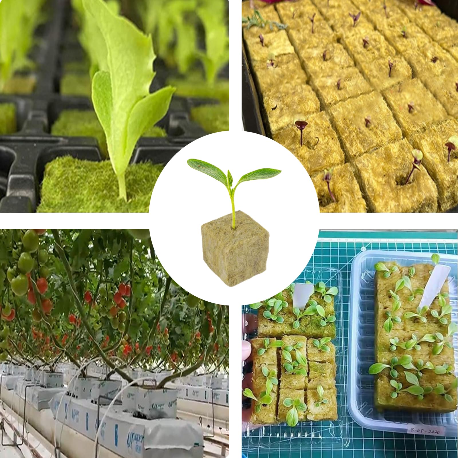 72 Pezzi Cubetti di Lana di Roccia, Rockwool Grow Cubes, Cubetti Lana di Roccia Ldroponica, 3 X 3 X 4cm, per Il Trapianto di Cultura Soilless