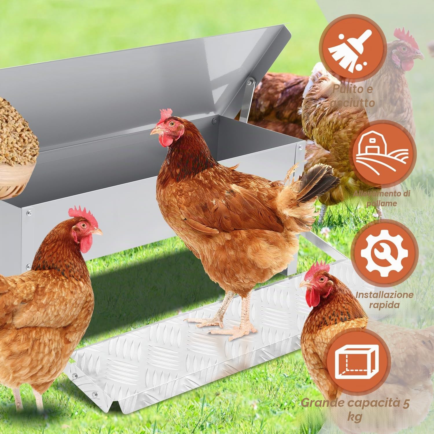 Sonnewelt Mangiatoia automatica per polli in acciaio zincato, 5 kg, distributore di mangime per polli, mangiatoia con pedale automatico e copertura impermeabile, mangime per polli e altri volatili