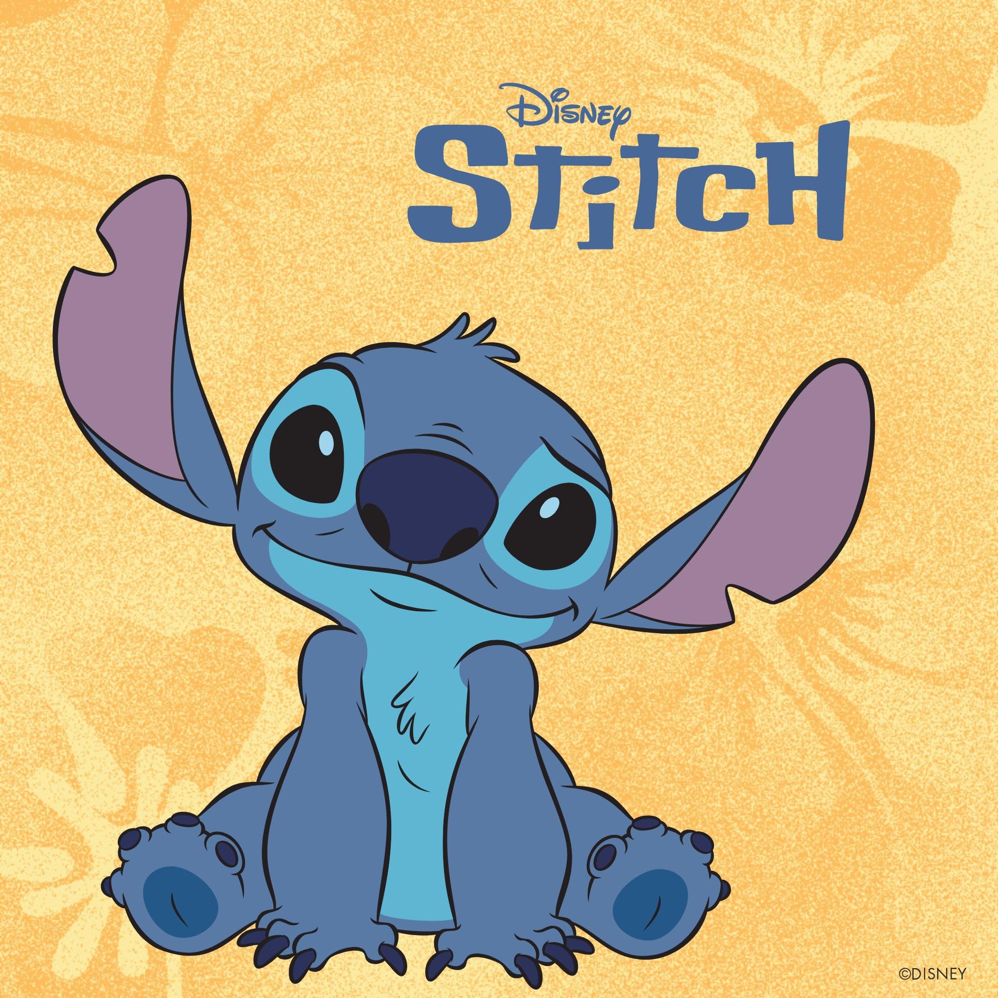 Disney Bracciale Lilo e Stitch in Argento per Bambine, Misura 18 cm Regolabile