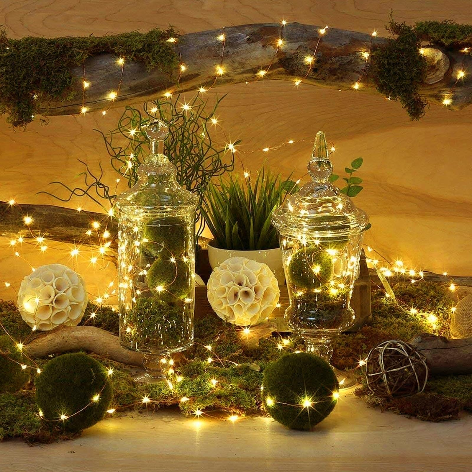 GAILROSO Lot de 100 guirlandes lumineuses à piles 3 modes de vitesse, 2,1 m 20 LED étanches pour bocaux Mason DIY, décoration de Noël, fête de mariage
