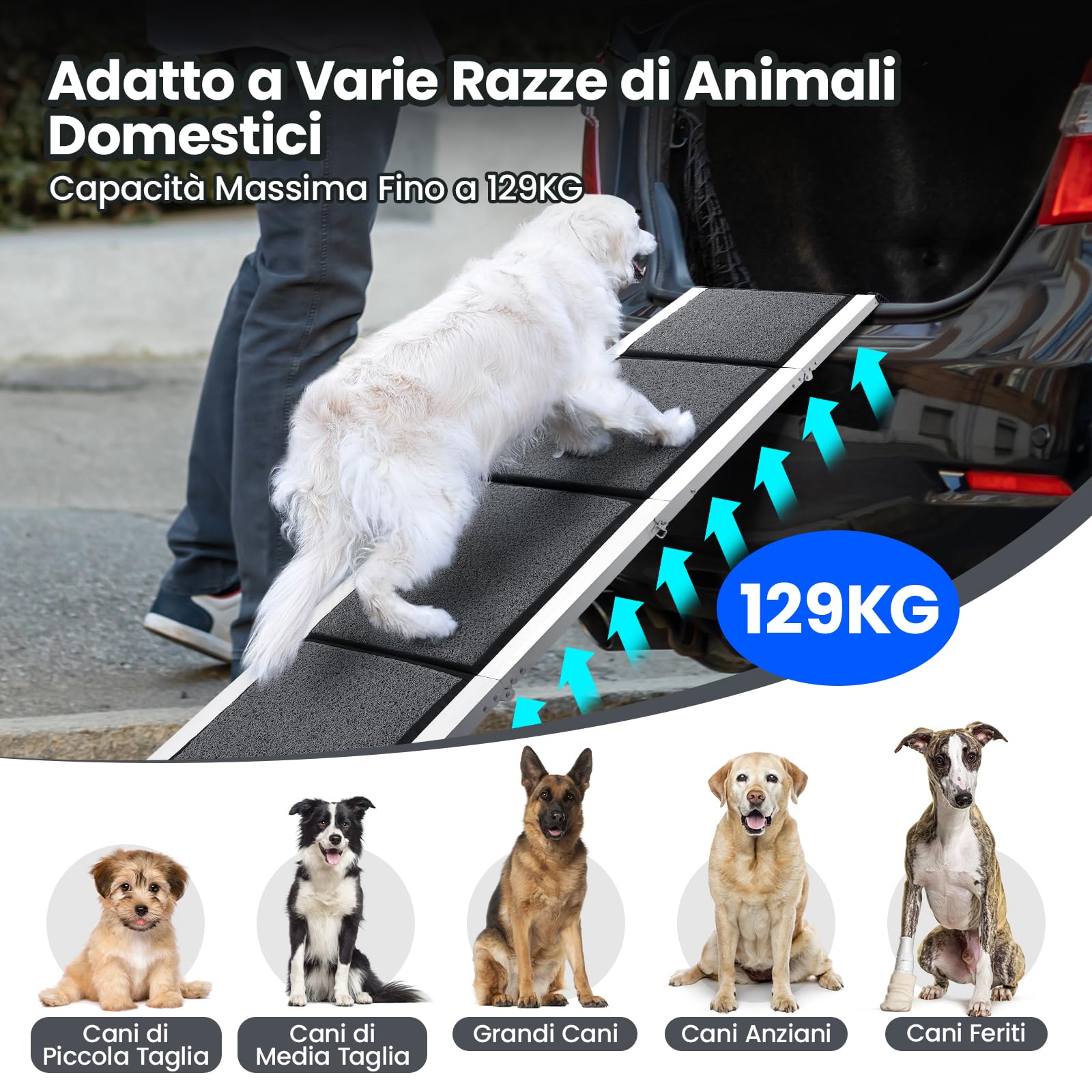 DAISTERN Rampa Auto per Cani Pieghevole 170 x 44cm, Scala Portatile Cani Macchina con Superficie Morbida Antiscivolosa, Telaio in Alluminio, Dog Stair Ramp Pedana per Cane Piccola Media Grande