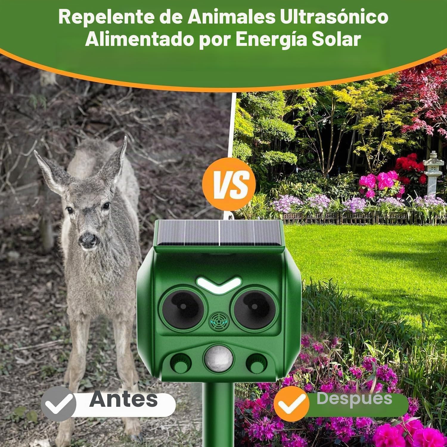 AILEDA Repelente para Gatos, Repelente ultrasónico energía Solar IP65 Impermeable de frecuencia Ajustable para ahuyentar Animales, Repelente al Aire Libre para Animales para Gatos,Ardillas,Mapaches
