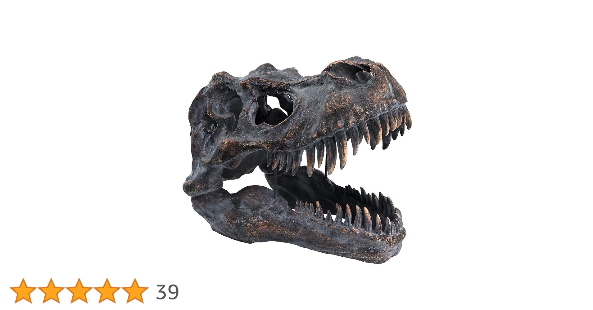 Amazon.co.jp: HEINBOW 巨大ティラノサウルス レックス 恐竜 スカル