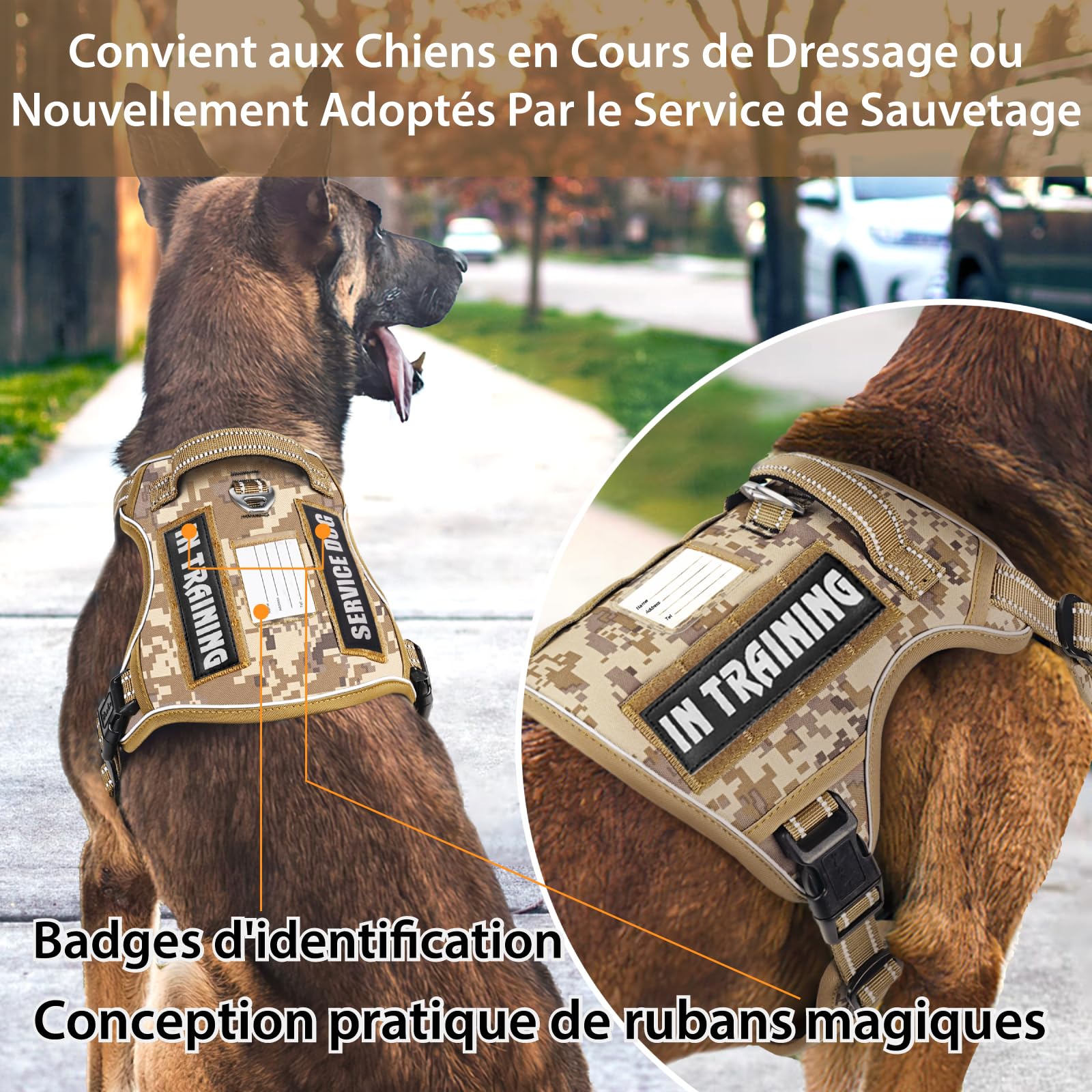 HEELE Dog Harness, Tactical Dog Harness with Molle Panel - Image 4