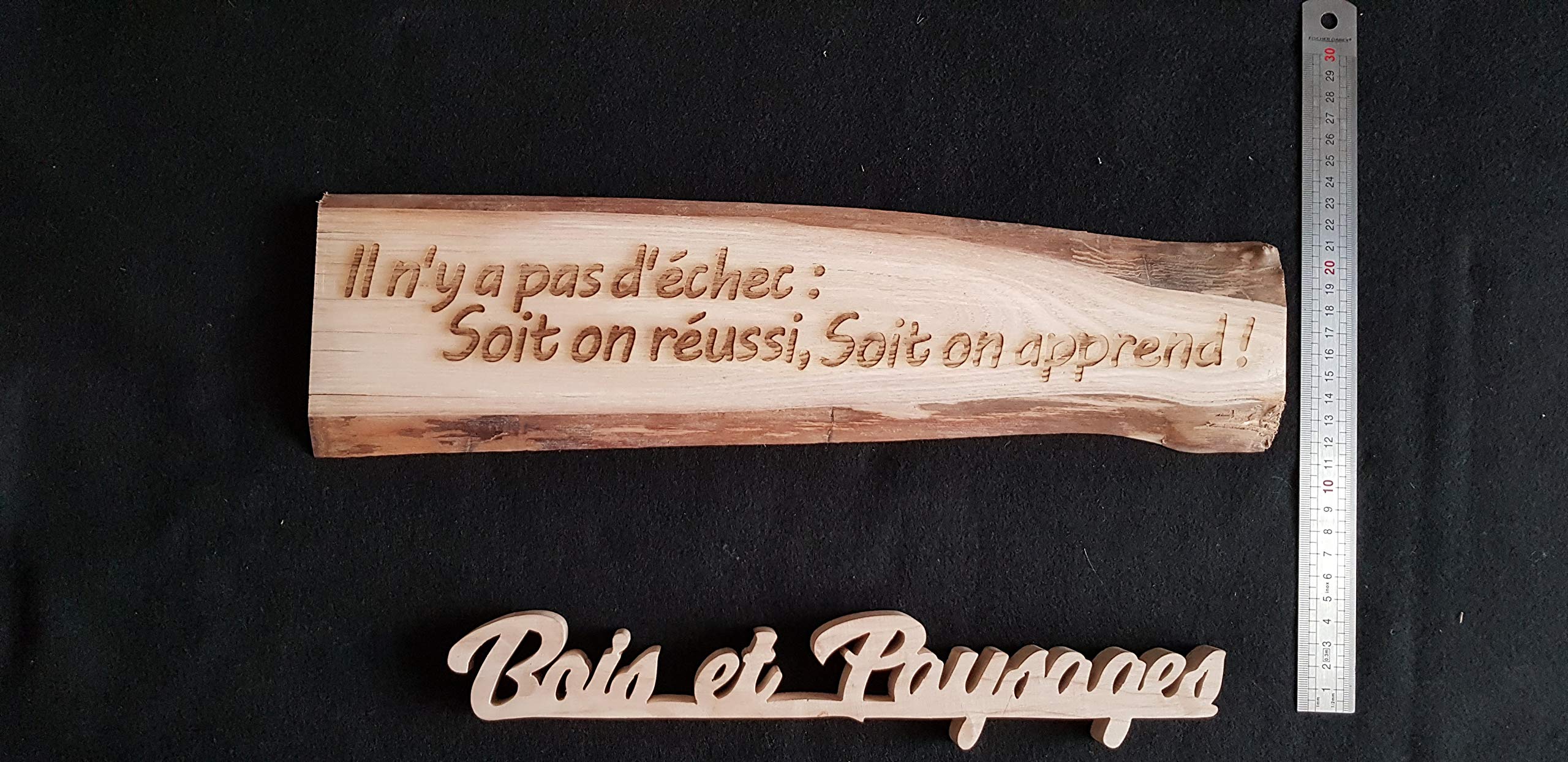 Plaque en bois gravée personnalisable - inscription au choix (citation, information, texte) - support environ 12cm x 35cm (variable selon texte).