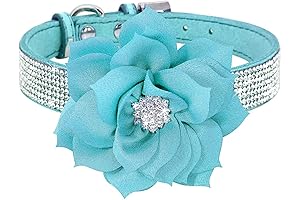 Dazzling Rhinestone Collar for Stylish Canines