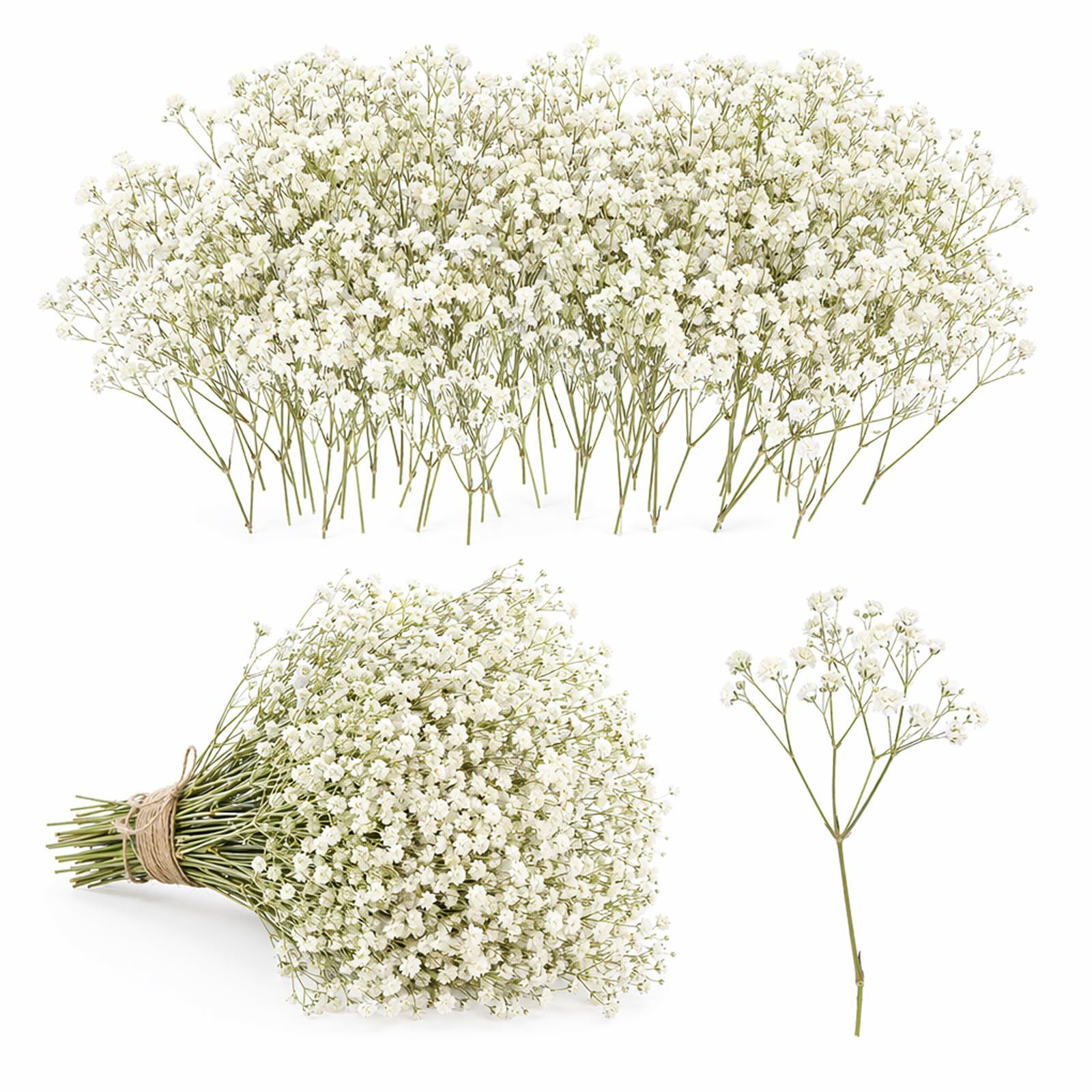 100pcs Natural Dried Baby's Breath Flowers - Preserved Gypsophila Blooms for Wedding Decor, DIY Crafts, Home Display and Resin Art