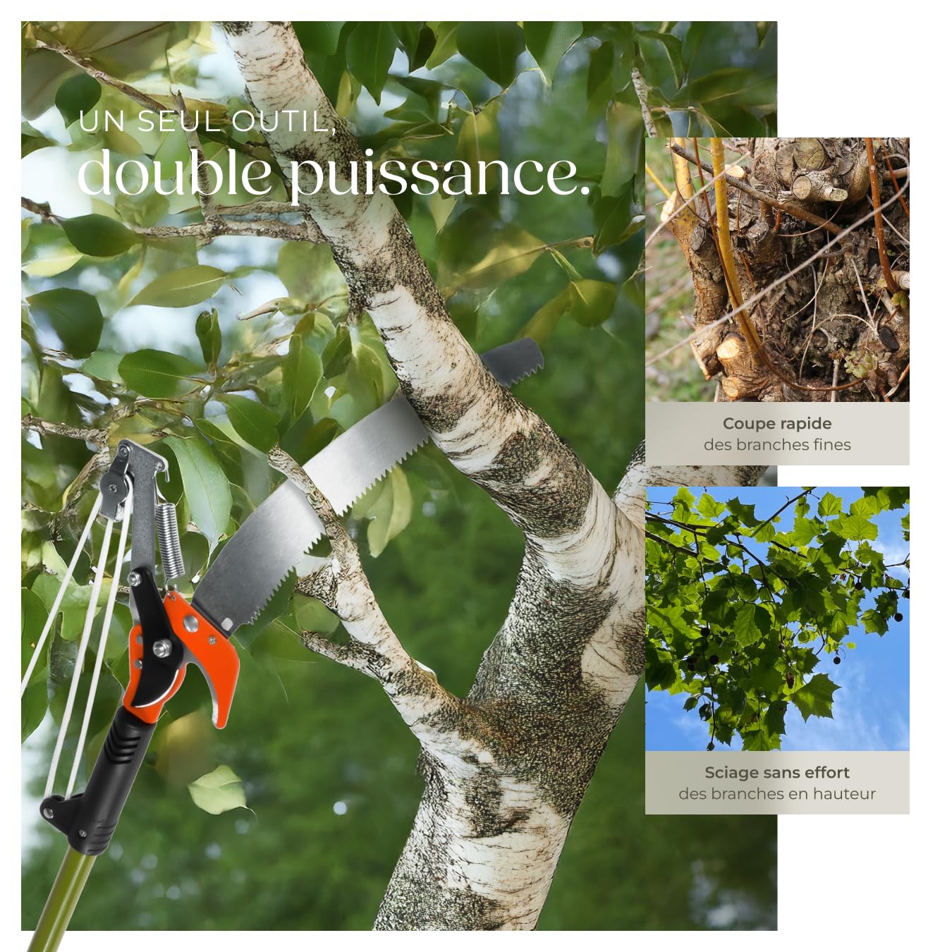 tectake® Coupe branche telescopique 2en1 Secateur et Scie à élaguer, Extensible 161-258 cm, Hauteur de travail max. 4m avec poignée de tirage, Elagueuse sur perche Taille haie Outils jardinage