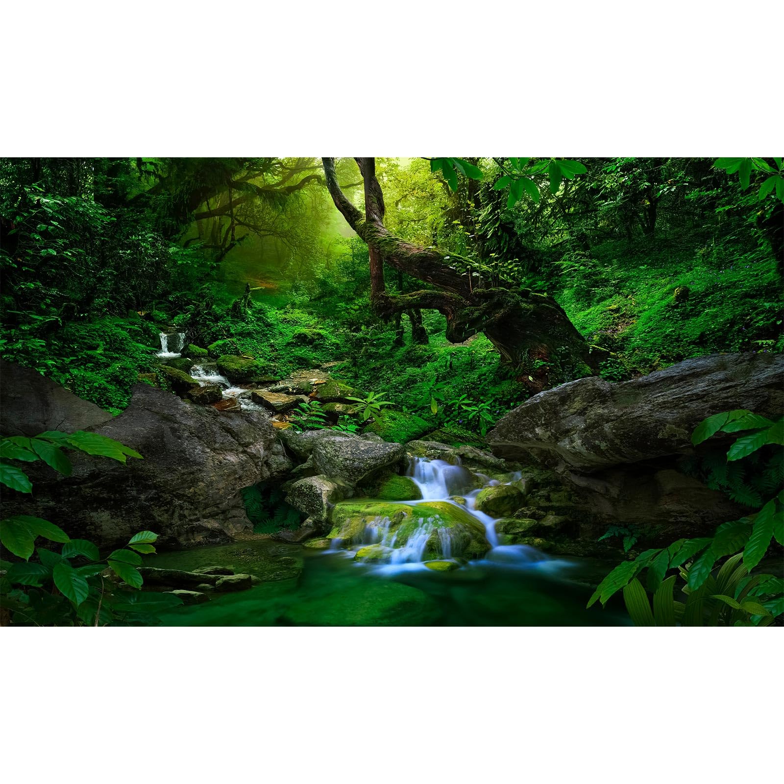 Jungle Forest Aquarium Background Rainforest Waterfall Fish Tank Background Stream Rock Glass Terrarium Backgrounds Foggy Forests Streams Meanders Green Plants Reptile Enclosure Backgrounds 48x20in