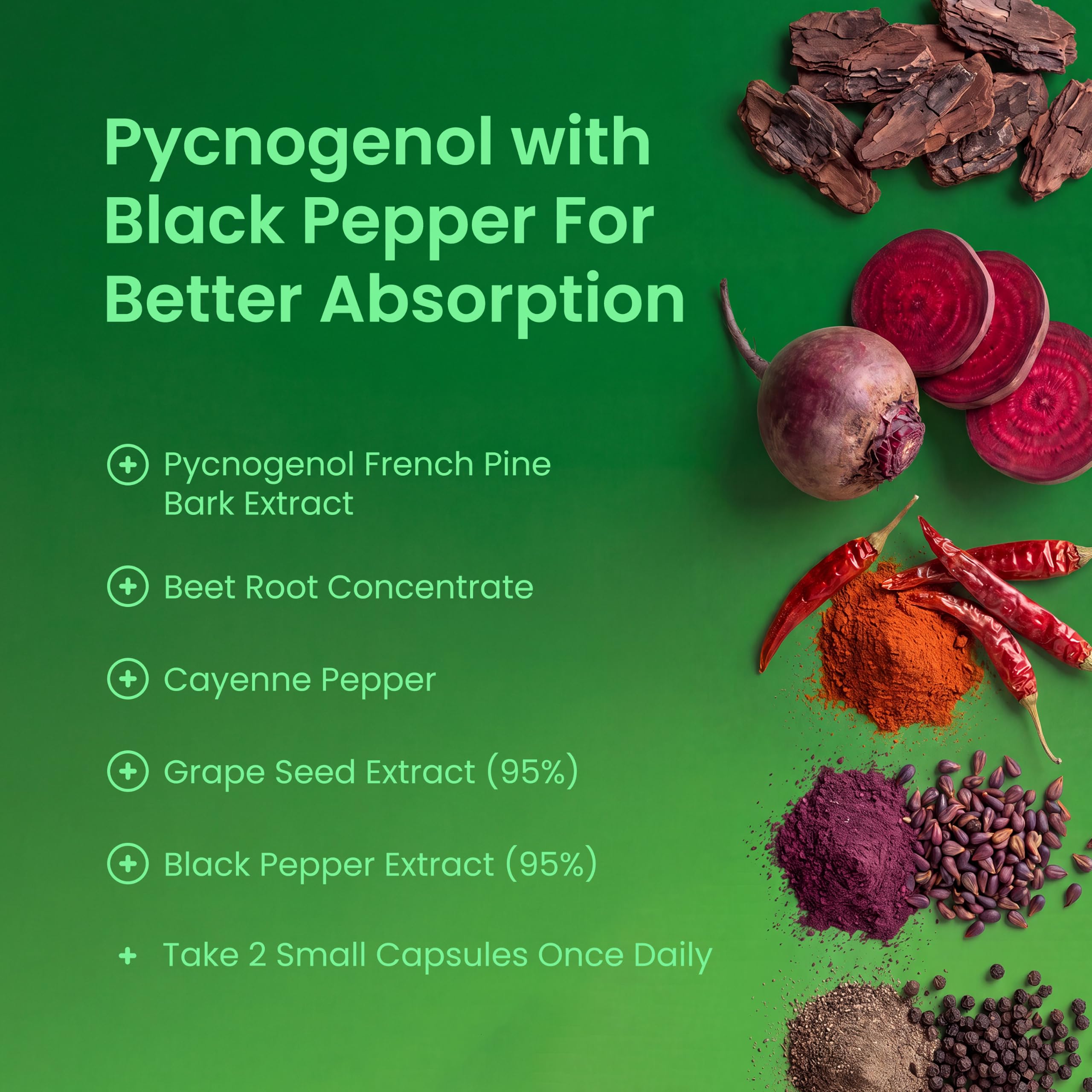 NutraChamps Pycnogenol French Maritime Pine Bark Extract, Premium Circulation Complex, Blood Flow, Nitric Oxide Production, Superior Absorption, Results with Black Pepper Extract, 60 Capsules — Amazon image 3