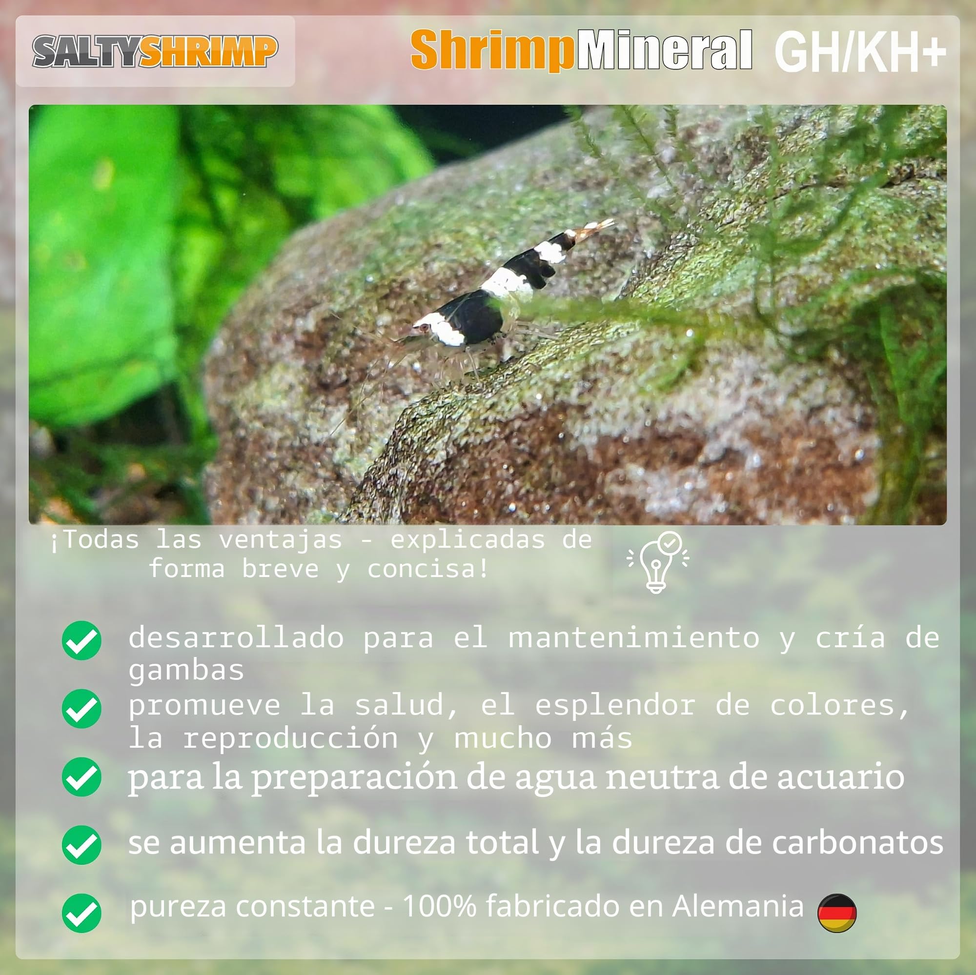 Shrimp Mineral GH/KH+ | 100g - Sal Mineral. Especialmente desarrollada para el Mantenimiento y la cría de gambas. para Agua de Acuario Neutra y remineralización