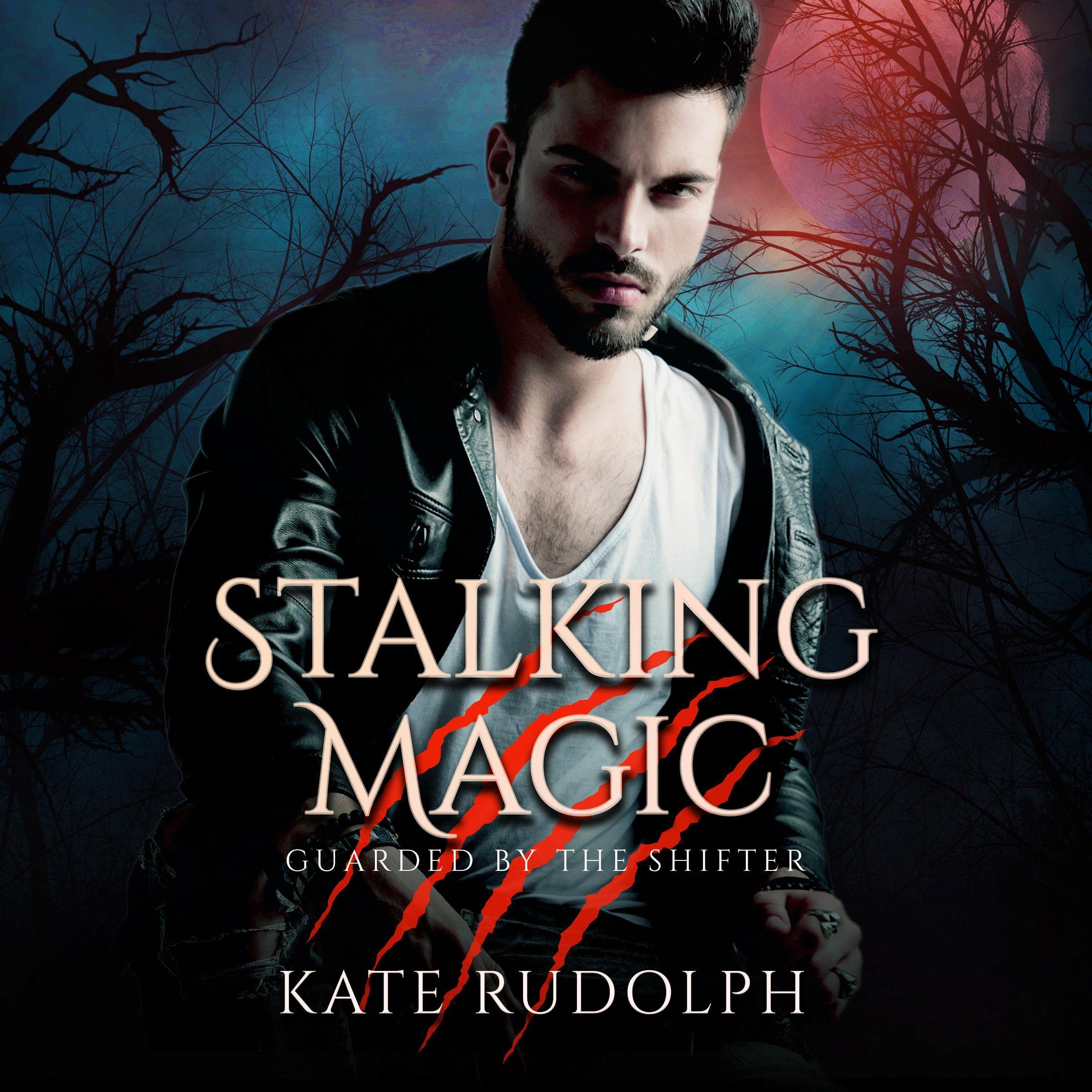 Cover art for Stalking Magic
