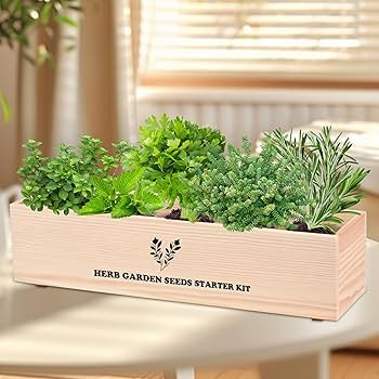 Amazon.com : Sproutix Indoor Herb Garden Starter Kit, 5 Seeds