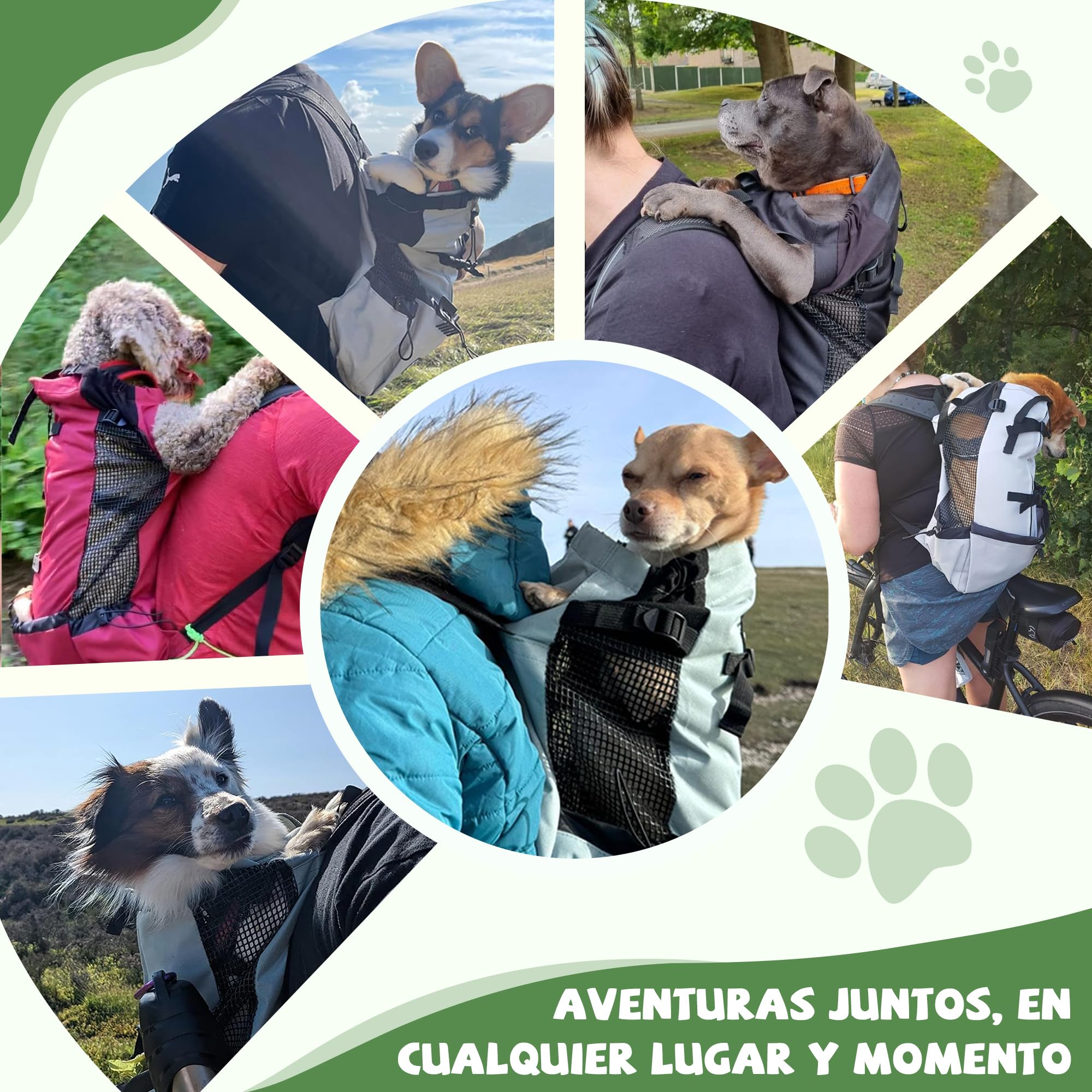 ALLSOPETS Mochila para Perros Ajustable y Portátil, Transportín para Mascotas de Tamaño Pequeño y Mediano para Paseo Senderismo Camping Viaje Escalada (Gris Salvia, M)