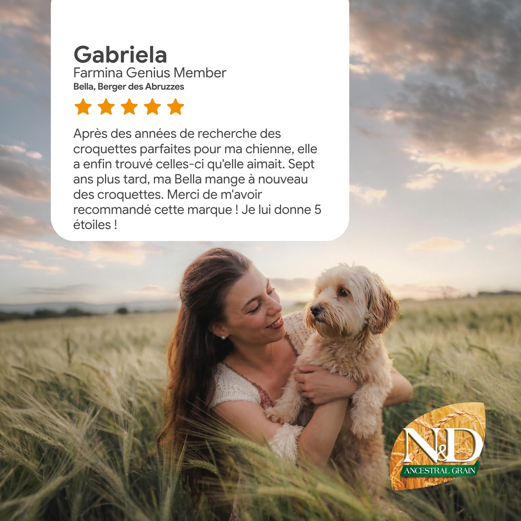 N&D Ancestral Grain Selection pour Chien Adulte Moyennes & Grandes Races 15kg