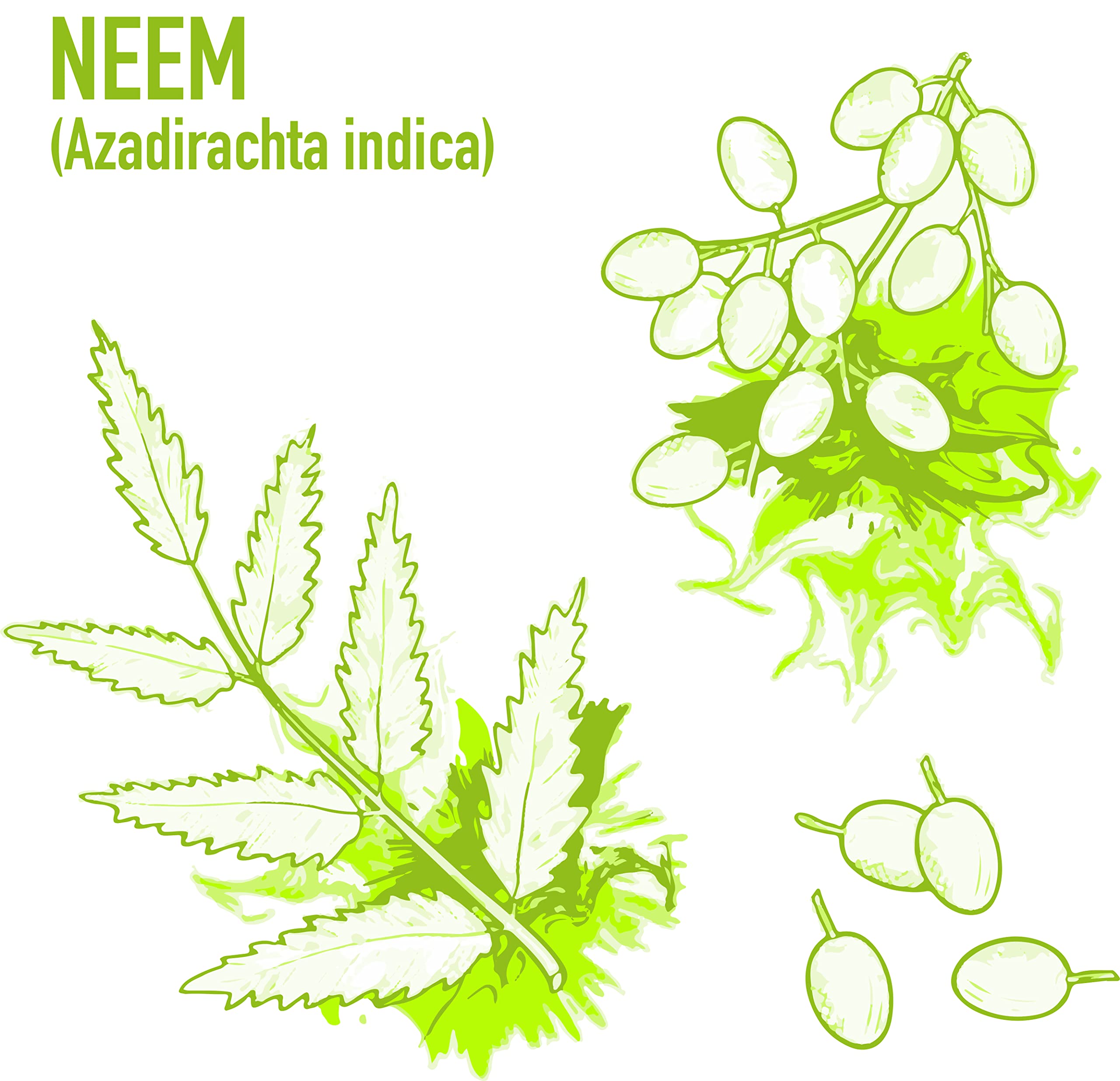 FINCA CASAREJO Jabón agrícola 1L + Aceite de Neem 250ml - Pack de 2 Productos Naturales para Proteger Tus Plantas y Huertos Frente al Pulgón y el minador de cítricos