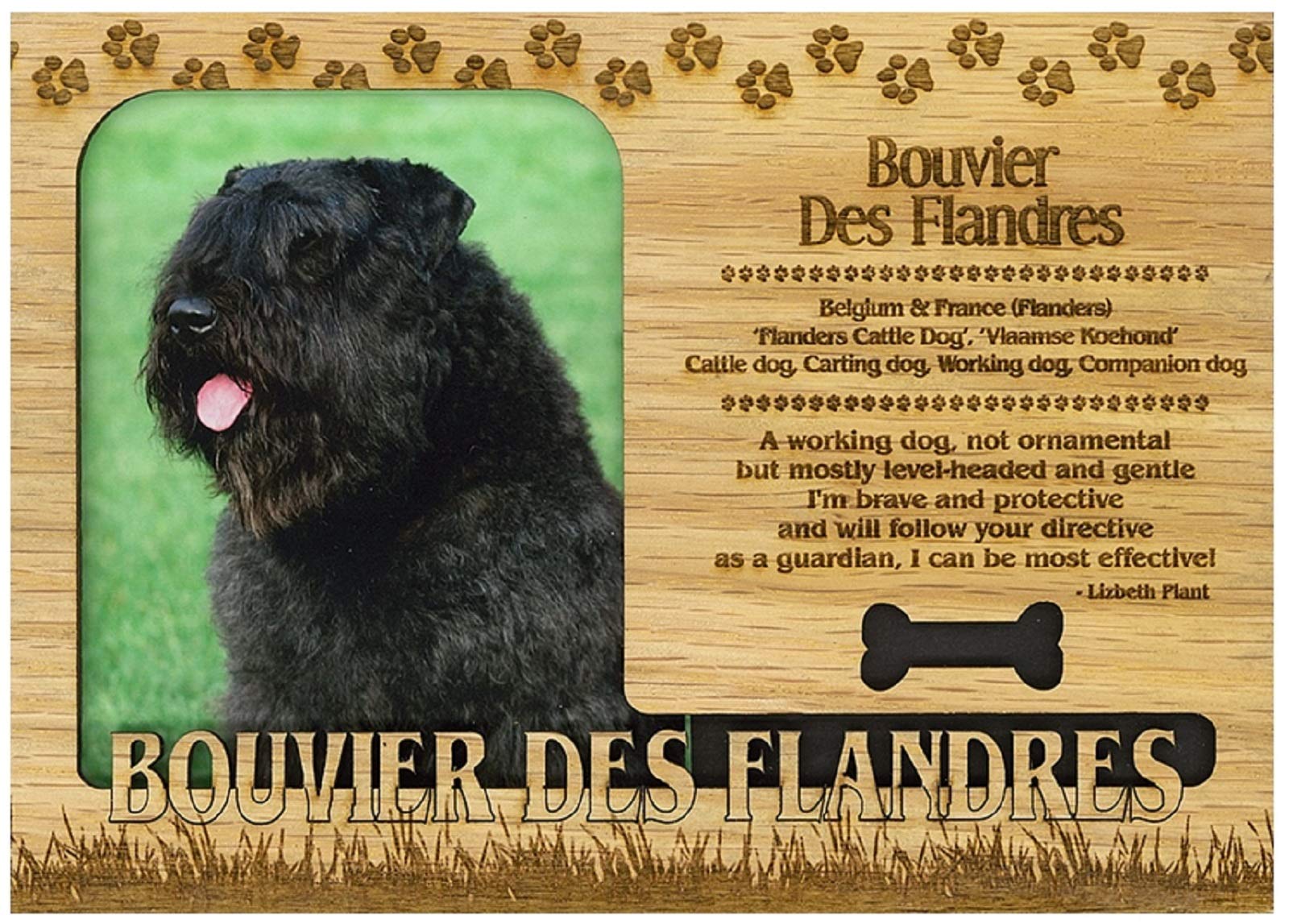 Bouvier Des Flandres Engraved Wood Picture Frame Magnet