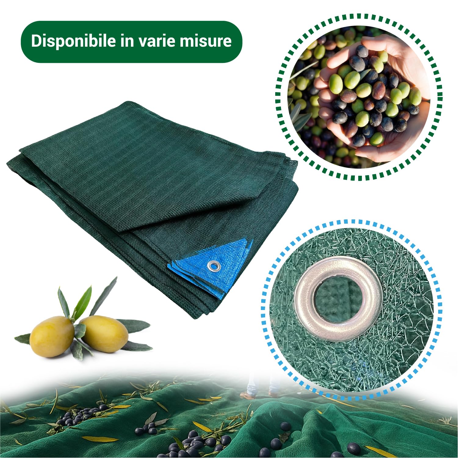 Crisalide® Telo Raccolta Olive Antispine 90 gr/m² Senza Apertura con Occhielli Rinforzati – Disponibile in 13 Misure (da 3x6m a 12x14m) (6 * 8m)