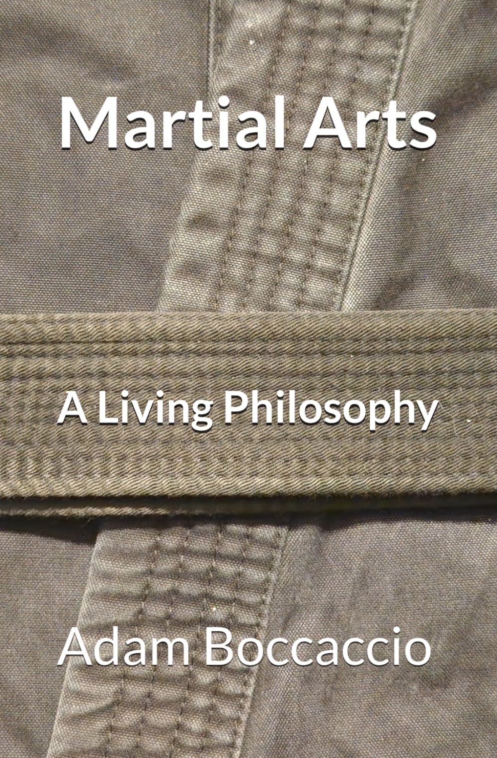 Martial Arts: A Living Philosophy