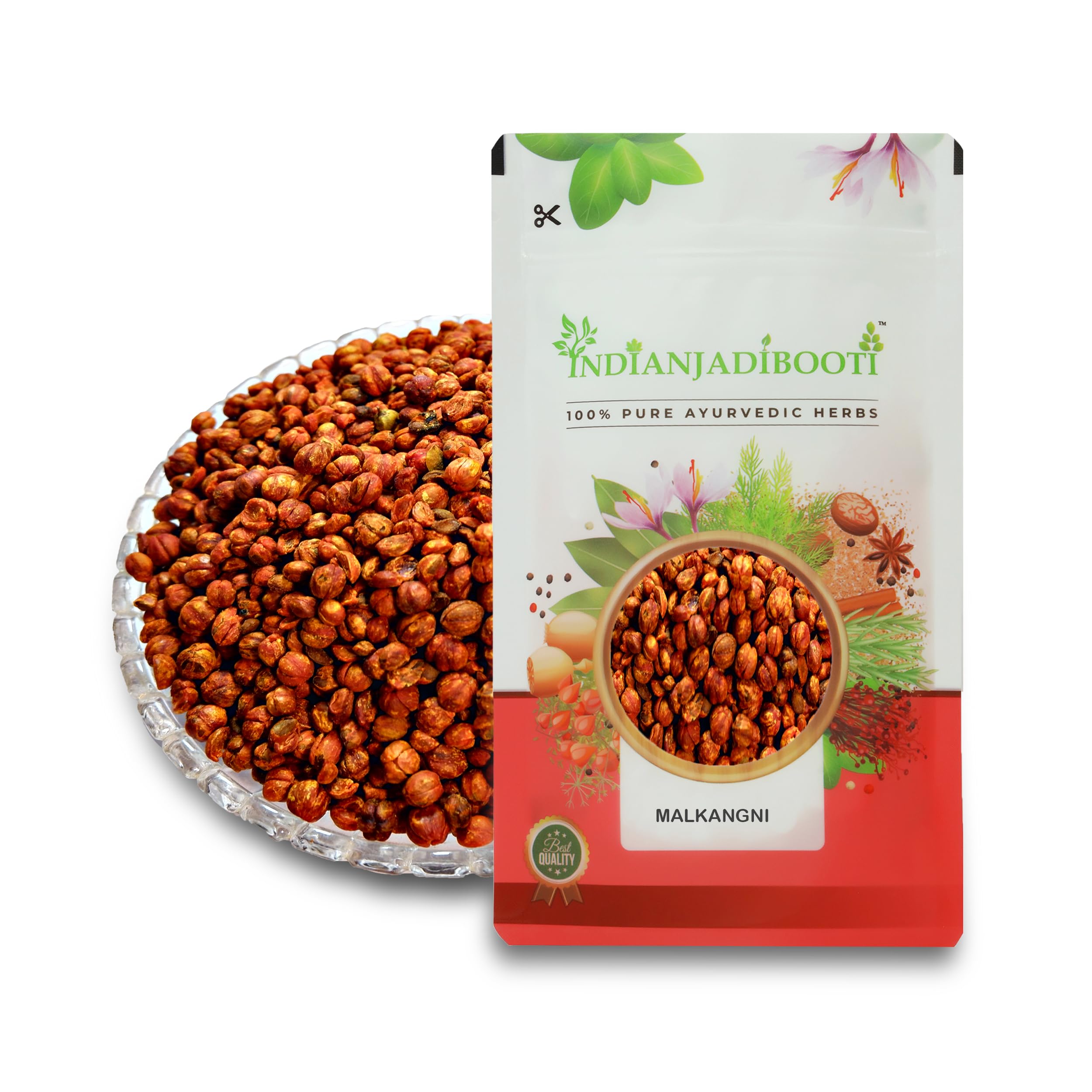 IndianJadiBooti Malkangni Beej-Jyotishmati Seeds-Celastrus Paniculatus, 100 Grams-image-16